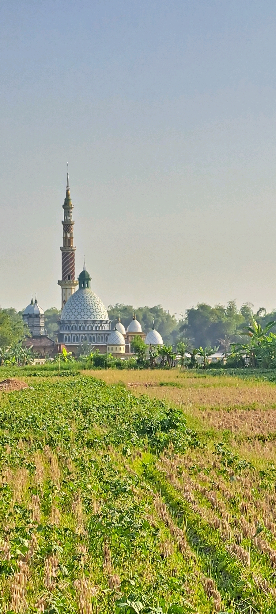A mosque with multiple domes and a tall, spiral minaret is visible in the background, set against a backdrop of lush green trees and a hazy, light blue sky. In the foreground, a field of green vegetation, possibly crops, stretches across the frame, with some areas appearing dry and harvested, revealing straw-like stubble. The overall scene depicts a tranquil, rural landscape with the mosque serving as a prominent architectural feature. The location is identified as Kemiri Sewu, Indonesia.