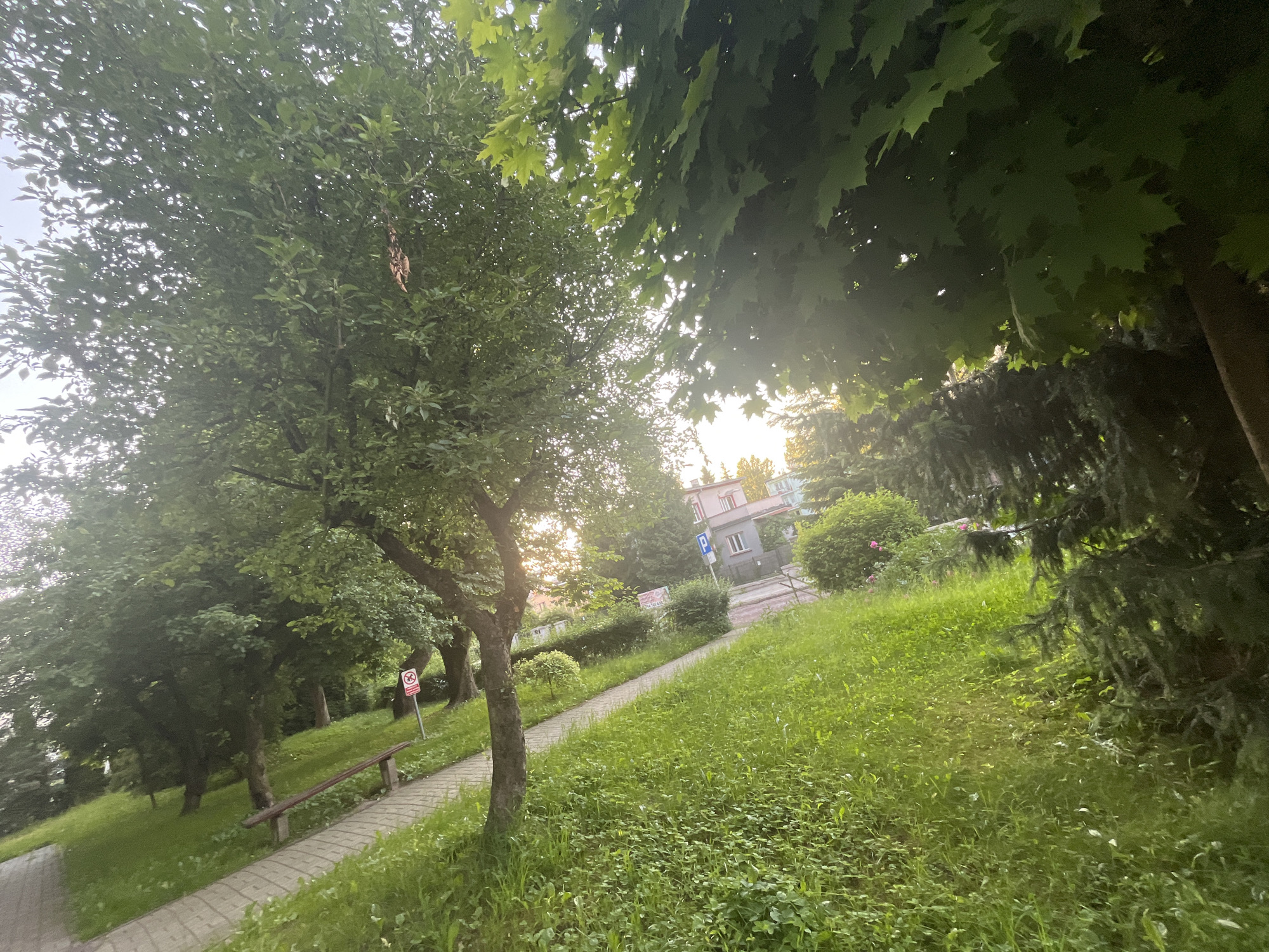 The image depicts an outdoor scene on a sunny day, likely late afternoon or early evening due to the warm, diffused light filtering through the trees. The setting appears to be a park or a residential area with a sloped, grassy hill and a paved pathway.
The foreground is dominated by lush green grass, with a paved pathway winding its way up the hill. Several trees with dense green foliage are visible, casting shadows and dappling the ground with sunlight. One tree in the foreground has a rough, textured bark. Further up the hill, a wooden bench is placed alongside the pathway, inviting rest.
In the mid-ground, a sign with a red circle and a diagonal line through an image is visible on the left, suggesting a prohibition. A few more trees and bushes are scattered across the slope. Beyond the greenery, a residential building with multiple windows and a light-colored facade is partially visible, indicating a populated area. A blue parking sign is also present near the building.
The overall atmosphere is peaceful and tranquil, with the warm sunlight and vibrant greenery creating a serene mood. The image doesn't show any people or specific events, focusing instead on the natural beauty of the landscape and its integration with human-made elements like the pathway and bench. The time of day is suggested by the soft, golden light.