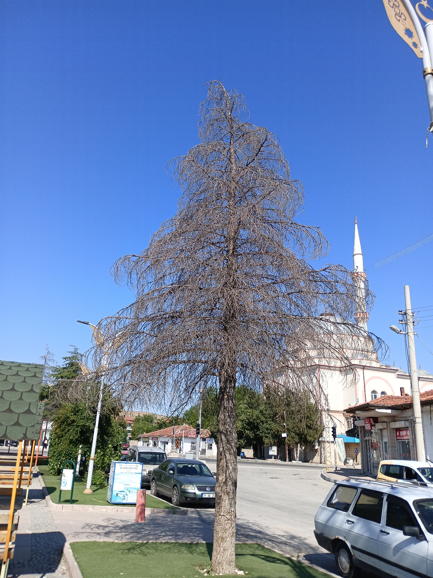 The image shows a street scene in Bahşılı Belediyesi, Turkey, under a clear blue sky. A tall, bare tree with intricate branches dominates the foreground. In the background, a white mosque with a tall, slender minaret is visible. Several cars are parked along the street, including a silver station wagon, a dark green sedan, and a white hatchback. A lamppost stands on the right side of the road, and there are buildings lining the street, including what appears to be shops. A playground structure with wooden steps and a green roof is visible on the left. The ground is covered with a mix of pavement, green grass, and some dirt. The overall scene suggests a typical urban environment on a sunny day.