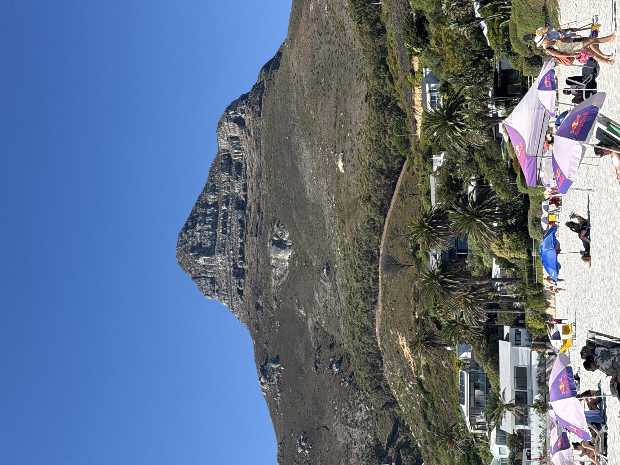 The image depicts a beach scene at Camps Bay, Cape Town, South Africa, against the backdrop of the distinctive Lion's Head mountain. The sky is a clear, bright blue. The mountain, covered with sparse vegetation and rocky outcroppings, looms on the left side of the image. Along the beach edge are various residential and commercial buildings interspersed with palm trees and other greenery. People are relaxing on the beach under umbrellas, and some are reclining in beach chairs. Some of the umbrellas bear the Red Bull logo. The sand is light-colored, and the general impression is one of a sunny, relaxed atmosphere.