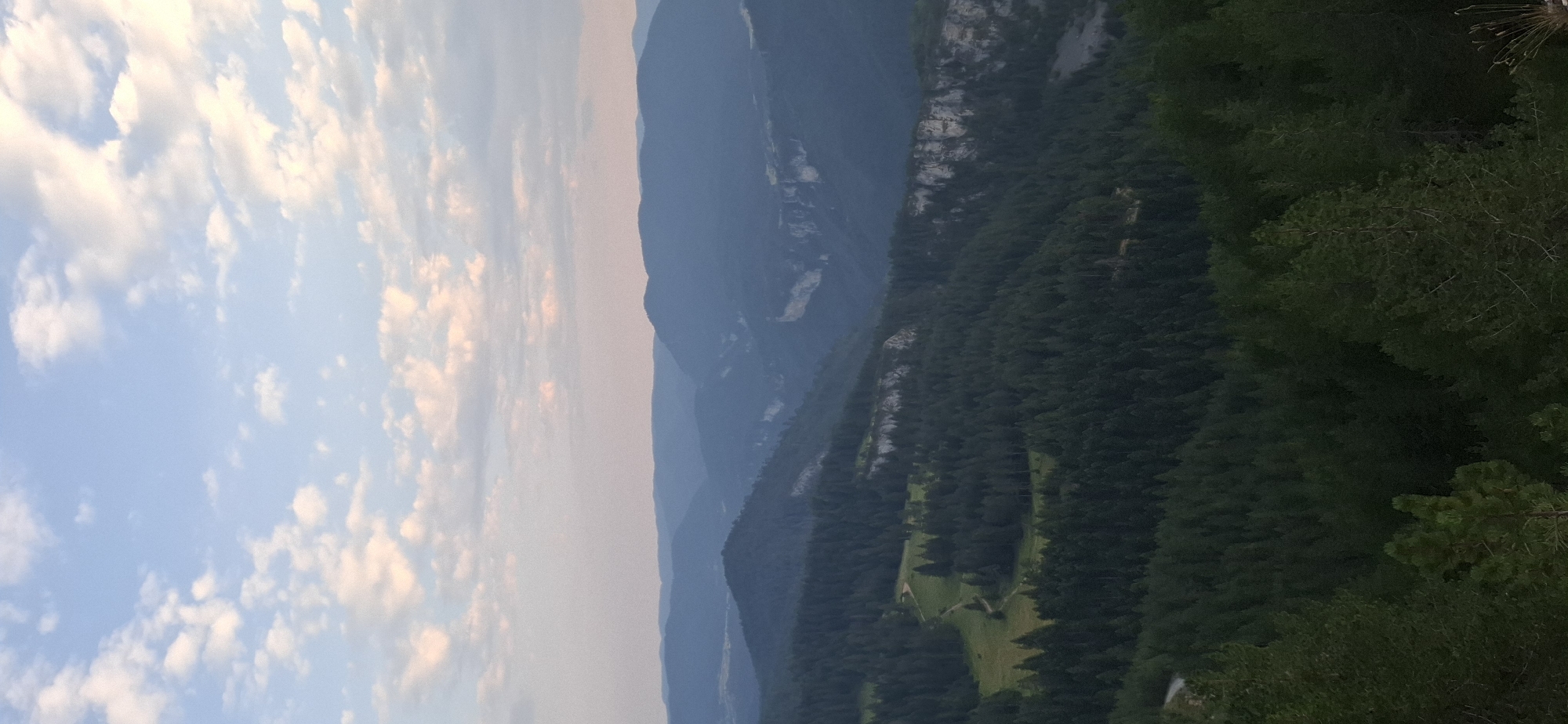 This is a landscape photograph of rolling hills and mountains covered in dense evergreen forests. The sky is partly cloudy with a soft gradient of blue and pink hues, suggesting it might be early morning or late evening. The terrain is mountainous, with layers of hills receding into the distance. In the foreground, the trees are dark green, and a winding dirt path is visible cutting through a clearing. Further back, the forests become a deep blue-green haze, and sheer rock faces are visible in some of the ravines. The overall impression is one of natural, untouched wilderness. The location is identified as the area around Gyovren, Bulgaria, a region known for its picturesque mountain scenery and extensive forests. There are no people or visible structures in the image, focusing solely on the natural environment.