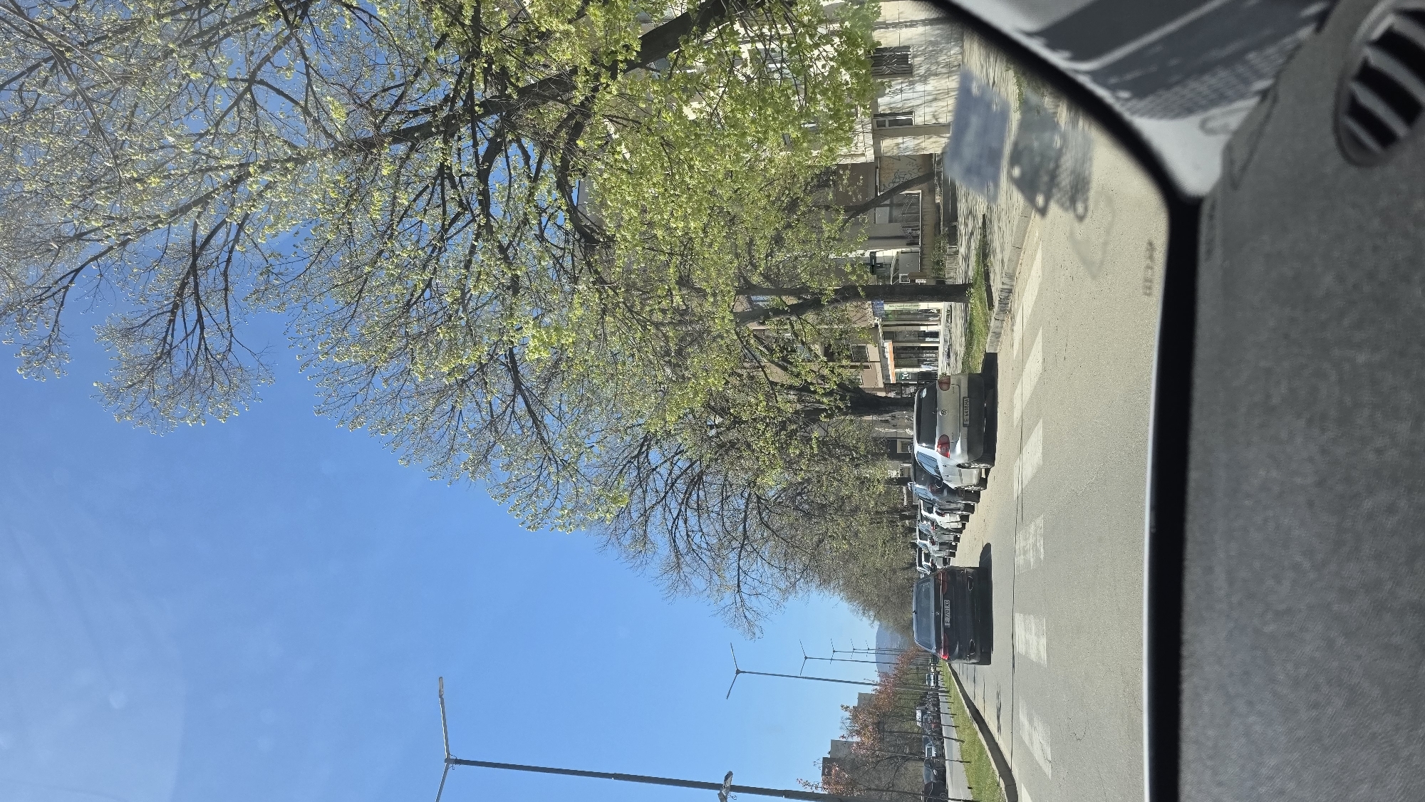 The image shows a street scene, likely taken from inside a vehicle, possibly through a side mirror. The road has parked cars on the right side and a pedestrian crossing. The sky is blue and clear. There are trees lining the street, some with new leaves. Buildings are visible in the background. The image has been rotated. This scene is in the city of Blagoevgrad, Bulgaria.