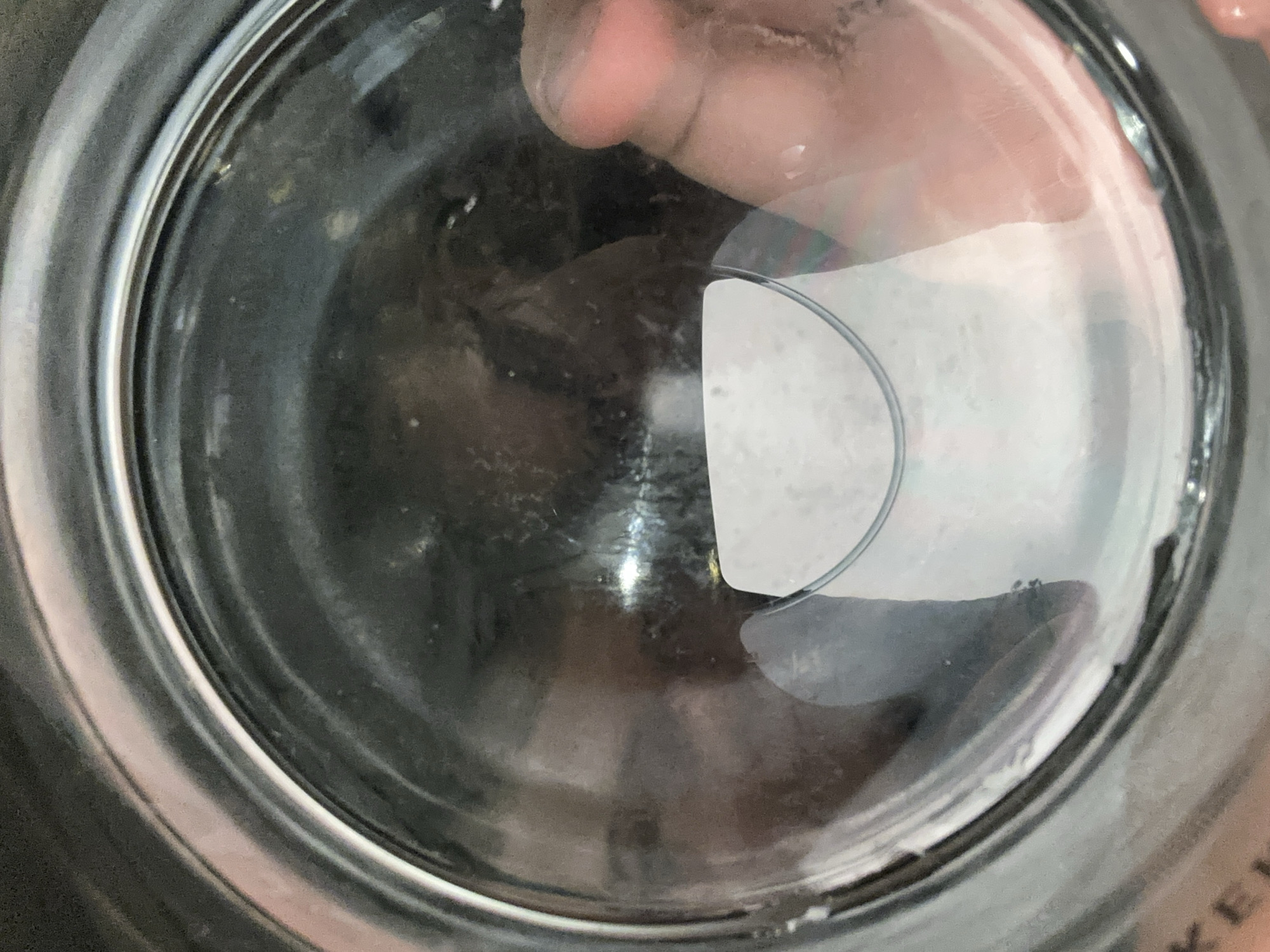 The image, taken inside a glass jar, shows a small, bright yellow object resting on a white label that is affixed to the inside of the jar. The jar is transparent, allowing a view of the contents and the exterior. Reflections on the glass suggest an indoor environment. A person's hand, with visible fingers and palm, is visible on the right side of the frame, also against the inside of the jar. The background within the jar is dark and somewhat murky. The image appears to be a close-up of the jar's interior. The location provided, Востец Снт, Russia, does not appear to be visually represented within the provided image.