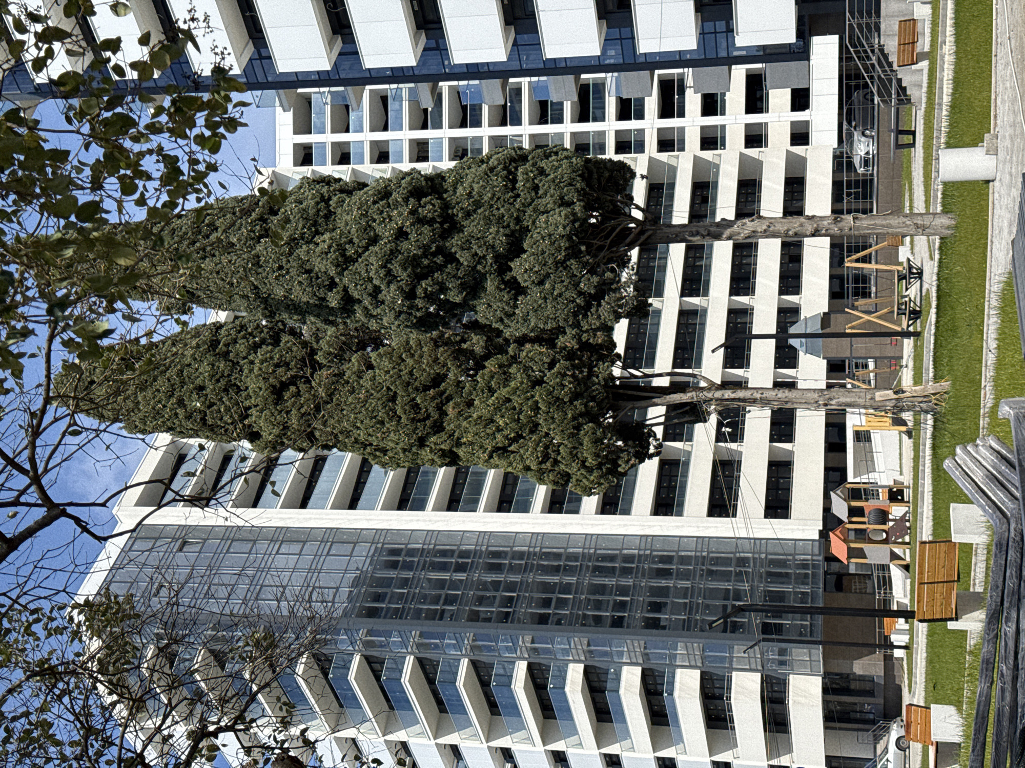 The image depicts a multi-story building complex, likely an apartment or office building, situated in an urban environment, potentially in Sochi, Russia. The buildings have a modern architectural design, featuring a combination of glass and white paneling. The image features foliage and trees partially obscuring the structure, with a clear blue sky visible above. Construction or maintenance work appears to be in progress near the base of the building. The overall scene suggests an urban landscape with ongoing construction or renovation activities.