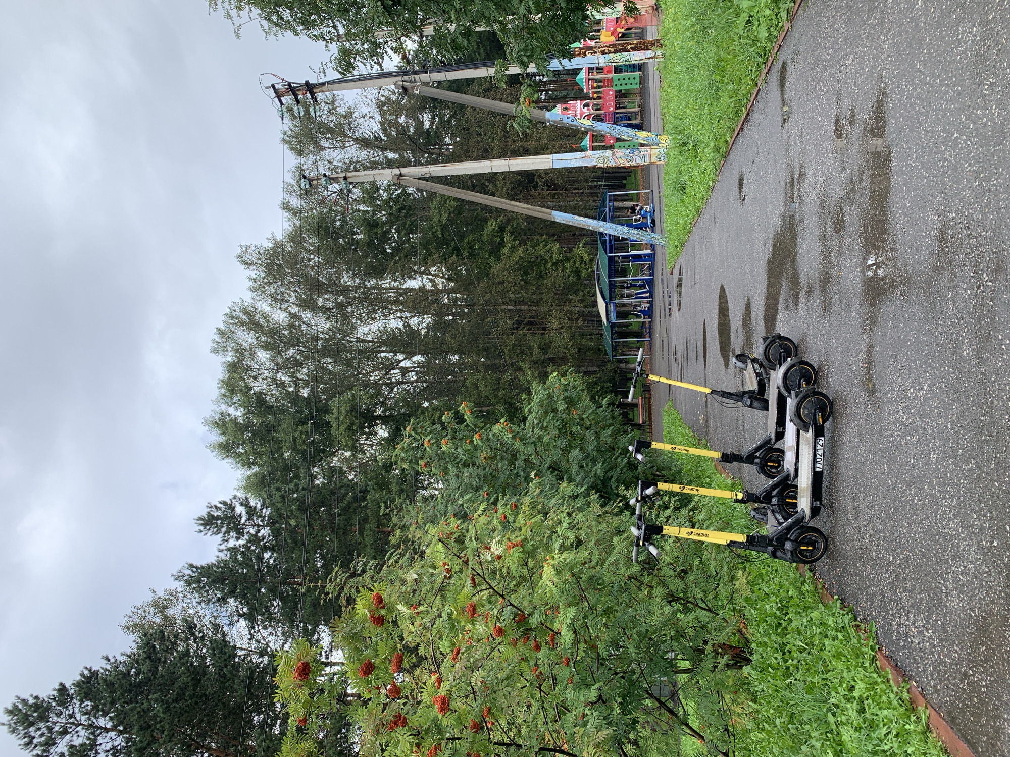 The image depicts an outdoor scene on a wet asphalt path in Prokopyevsk, Russia. Three yellow and black electric scooters are parked in a row on the path, with their license plates visible. To the left of the scooters, a tree laden with red berries, possibly rowan berries, is in bloom. Behind the scooters, a playground with colorful structures and a covered seating area with exercise equipment can be seen. Tall trees form a dense backdrop, and utility poles with wires are also present. The sky is overcast, indicating cloudy weather. The overall impression is of a park or recreational area in a city.