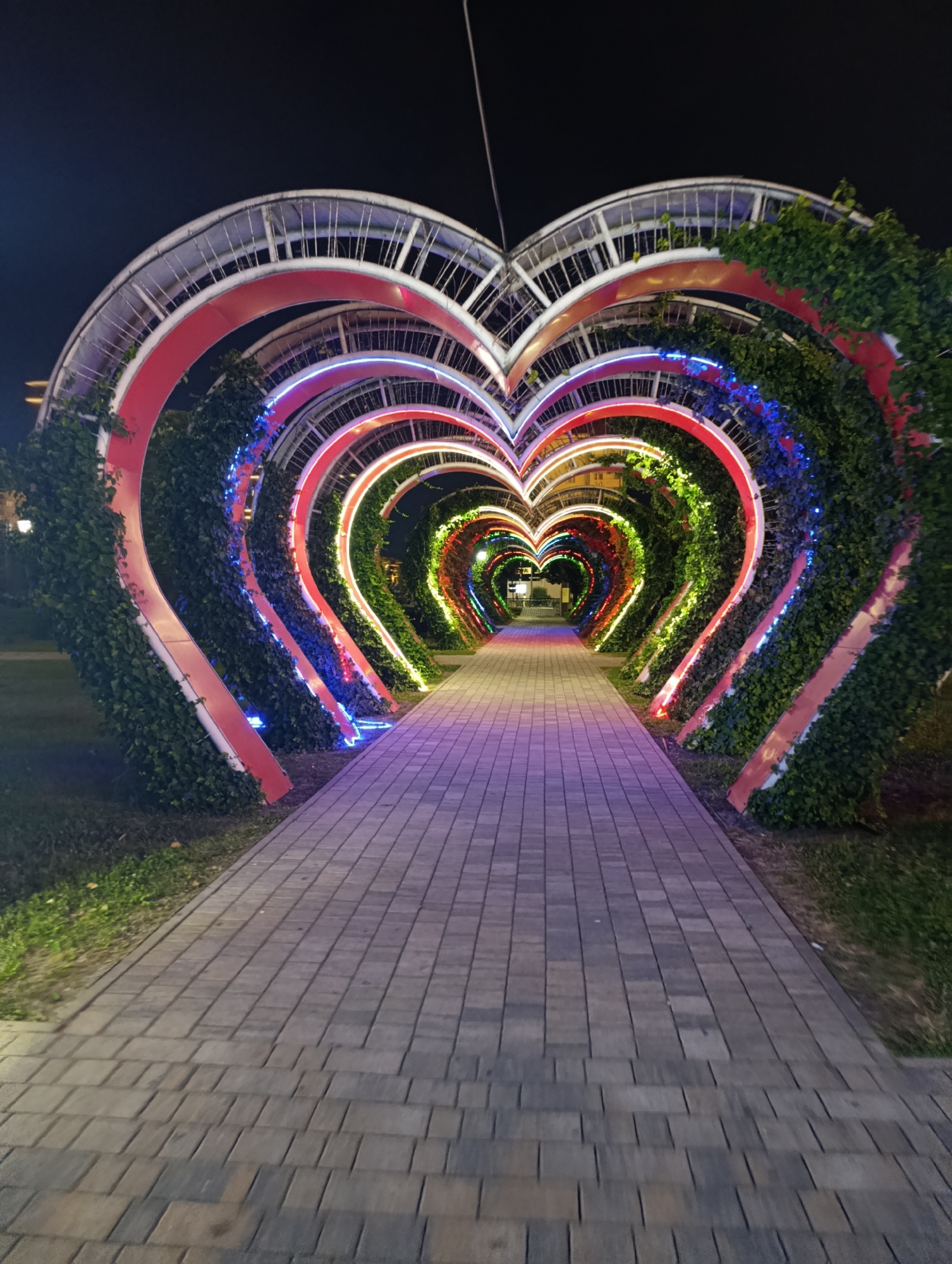 The image shows a nighttime view of a pathway leading through a tunnel of heart-shaped arches. The arches are decorated with greenery and illuminated with colorful lights. The pathway is paved with rectangular stones. In the background, there is a dark sky. The scene is located in Grozny, Russia.