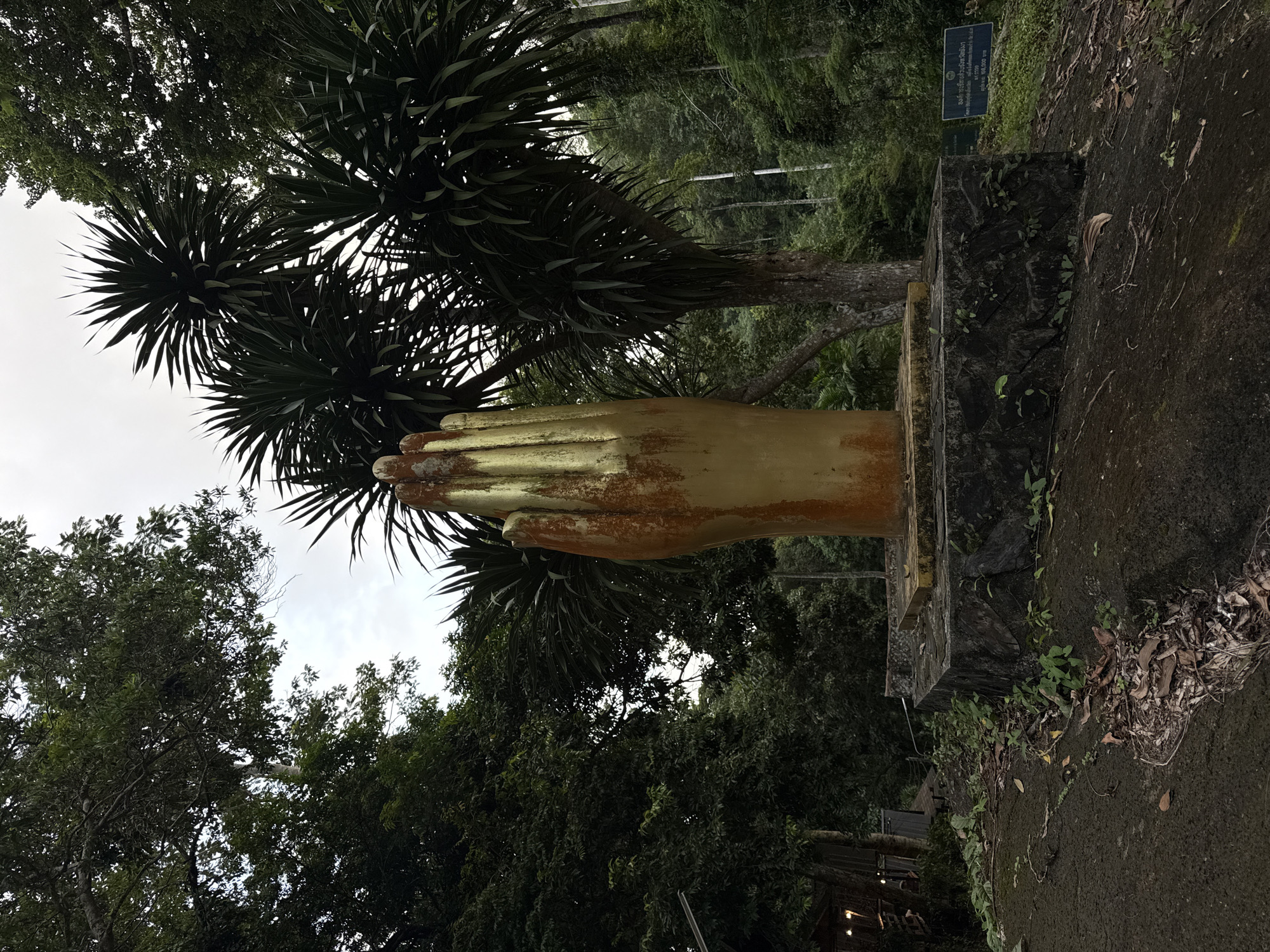 This image shows a large, weathered golden statue of a hand standing upright on a stone base. The hand appears to be a religious or spiritual monument, possibly representing a blessing or gesture of protection. It is situated outdoors in a lush, green environment with dense foliage and tall trees surrounding it. In the background, there is a sign with Thai script, suggesting the location is in Thailand. The overall atmosphere is serene and natural.