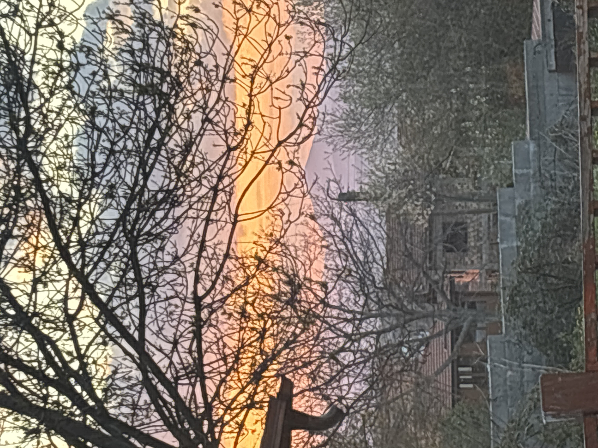 The image shows a sunrise or sunset in Sapareva Banya, Bulgaria, viewed through bare tree branches. The sky is multicolored, with orange, yellow, and pink hues blended. In the background, there is a structure that could be a building. The foreground includes the silhouette of a wooden fence or structure.