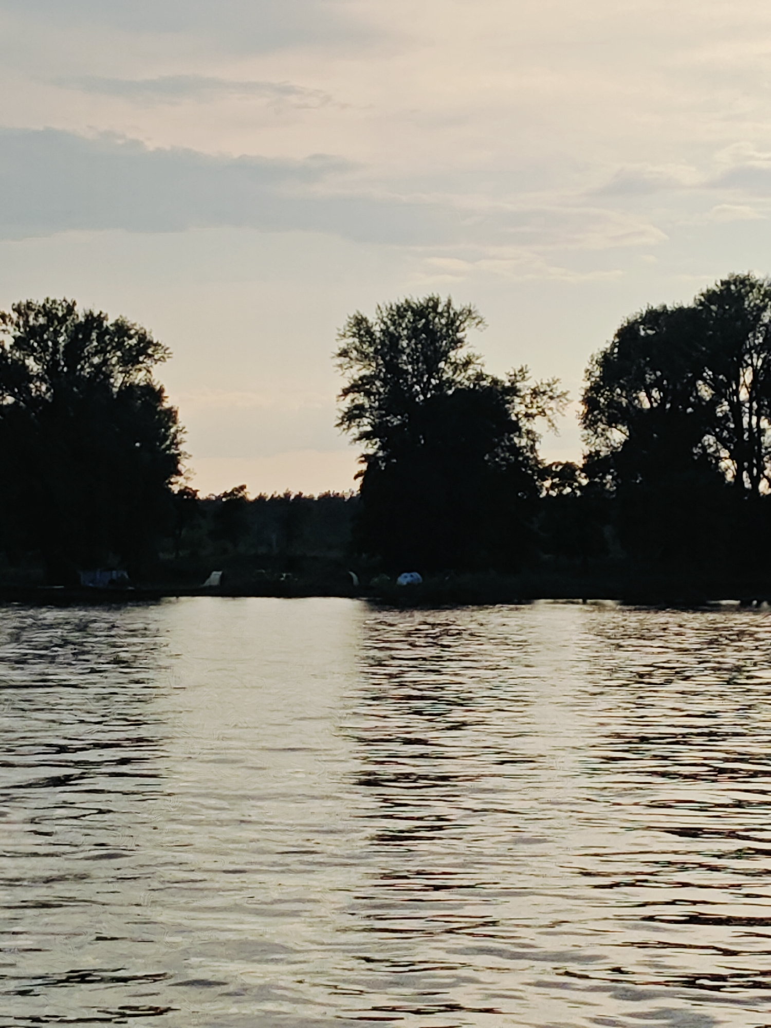 The image depicts a calm body of water, likely a river, with a tree-lined shore in the background. The sky above is a soft gradient of gray and white, indicating either dawn or dusk. Several large trees, silhouetted against the sky, dominate the shoreline. On the shore, a few scattered objects are visible, including what appear to be tents or shelters. The water is reflecting the muted light of the sky, creating a textured surface with ripples. The scene conveys a peaceful, natural setting. There is no discernible information in the image that allows for the identification of the specific location within the city of Noviy, Russia.