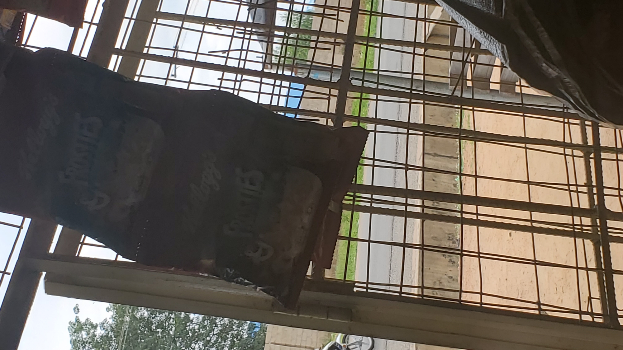 An outdoor, eye-level, full shot shows a weathered, dark brown bag with a white logo hanging from a rusty metal frame in Jalingo, Nigeria. The bag is partially obscuring the view of a road and trees. The logo on the bag features the words "Kellogg's Frosties" in a stylized font. The background consists of a gray wall, green grass, and a paved road, indicating an urban or semi-urban setting. The overall scene is dimly lit, suggesting it might be overcast or late in the day.