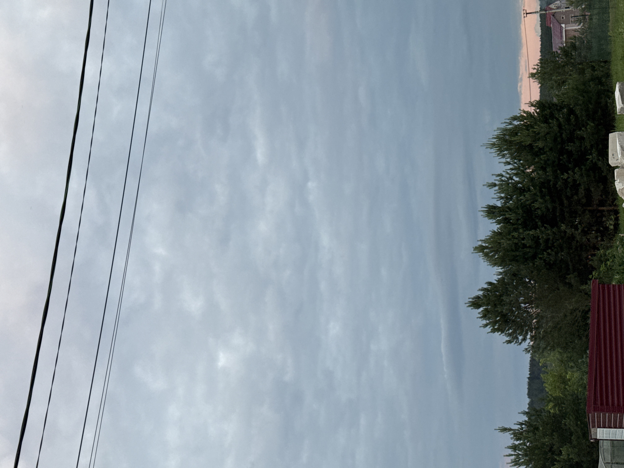 The image depicts a slightly overcast sky with a line of pine trees in the middle ground. In the foreground, a red corrugated metal structure is visible on the left. To the right of the trees, houses with red roofs can be seen in the distance. The scene appears to be in a semi-rural or suburban area, possibly on the outskirts of Chaikovsky, Russia, given the presence of residential buildings and natural vegetation. There are no people or animals in the image, nor are there any explicit actions or interactions taking place. The overall atmosphere is calm and subdued, characteristic of a cloudy day.