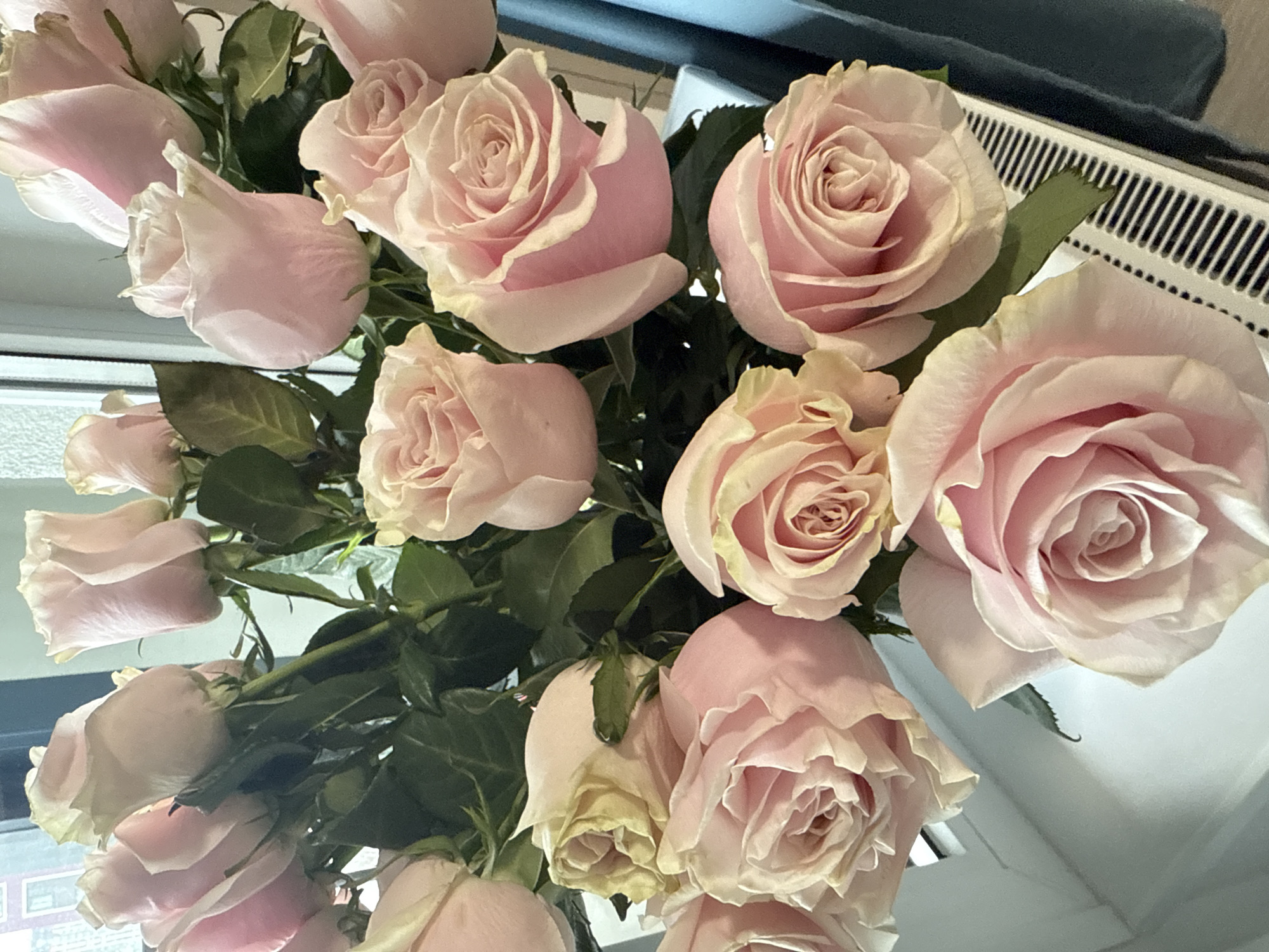 The image shows a bouquet of light pink roses with green leaves. The roses are in various stages of bloom. The background includes a white radiator and a glimpse of a grey surface. The location, Saint Petersburg, Russia, is not discernible from the image alone.