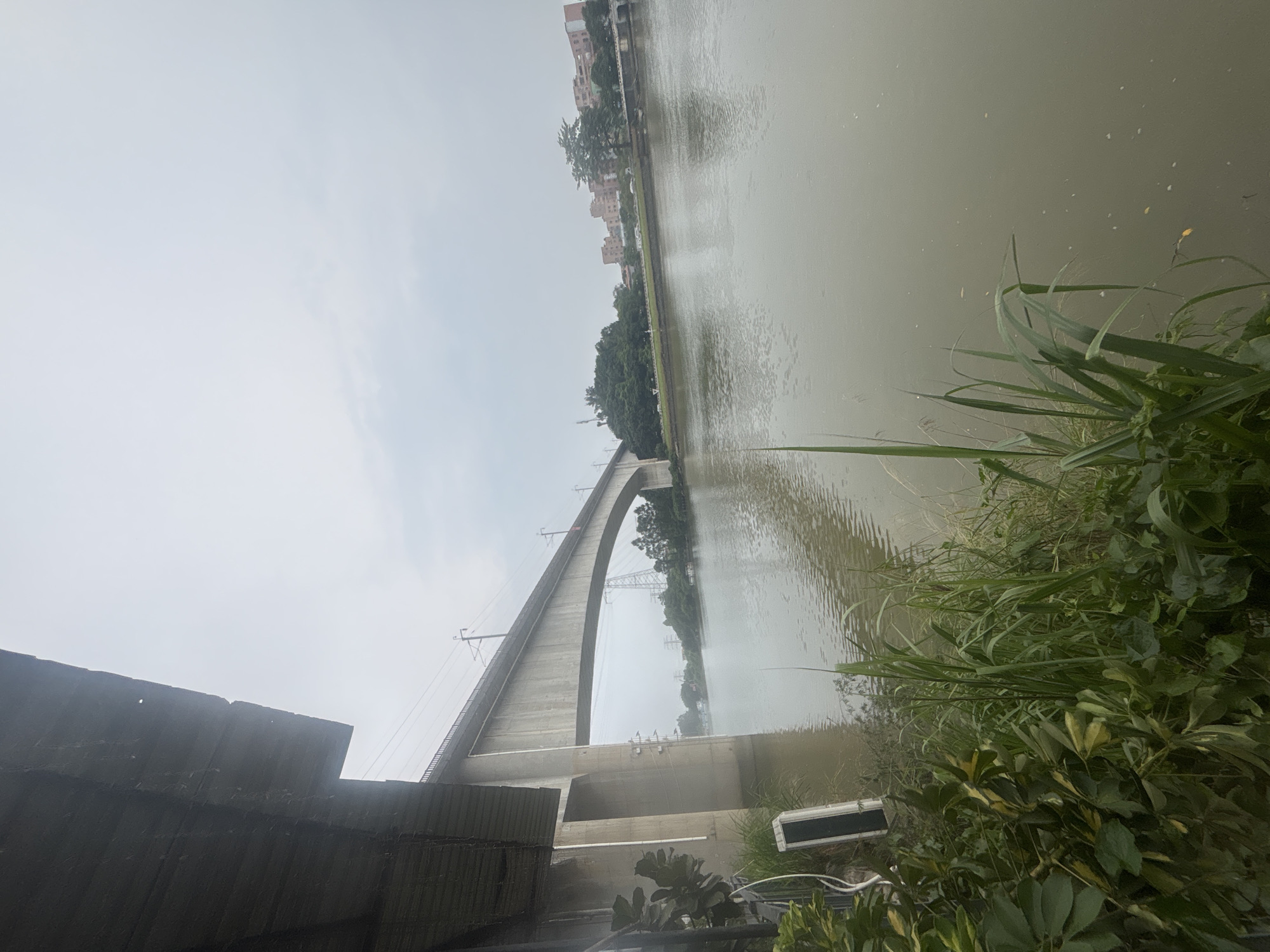 The image depicts a wide, calm river with a concrete bridge spanning across it. The bridge is supported by two large pillars on the left side of the frame, with the bridge deck curving gracefully towards the right. In the background, there is a green treeline and a cluster of buildings, suggesting an urban or suburban environment. The sky is overcast, casting a muted light over the scene. In the foreground on the left, there is dense green foliage and tall grasses growing along the riverbank. A portion of a dark, corrugated roof structure is visible in the upper left corner, casting a shadow over the vegetation. Several power lines and transmission towers can be seen in the distance, further indicating the presence of infrastructure. The water appears murky, with a few scattered leaves or debris floating on the surface. The location is identified as Nanhai District, China, which is known for its rivers and industrial development.