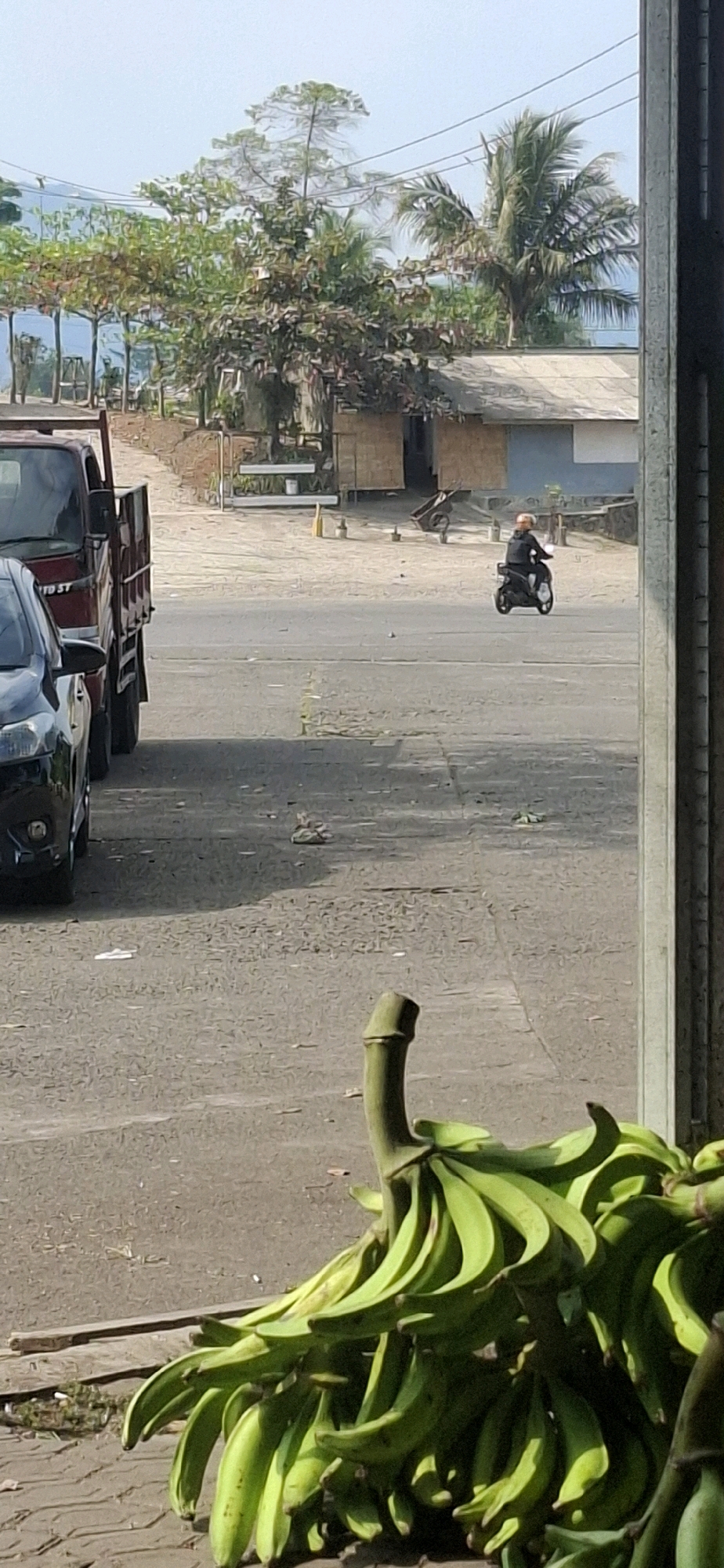 In Sirnagalih, Indonesia, a street scene unfolds with a focus on a bunch of green bananas in the foreground, partially obscuring the view. Behind the bananas, a paved surface stretches out, dotted with debris and a few white plastic bags. To the left, the rear of a red flatbed truck and the front of a black car are visible. The background reveals a road with a person riding a scooter, wearing a dark jacket and helmet. Beyond the road, a rustic building with a thatched roof stands adjacent to a lighter colored structure. Further in the distance, lush green trees and palm trees create a tropical backdrop under a bright, hazy sky. The overall environment suggests a rural or semi-urban setting in Indonesia.