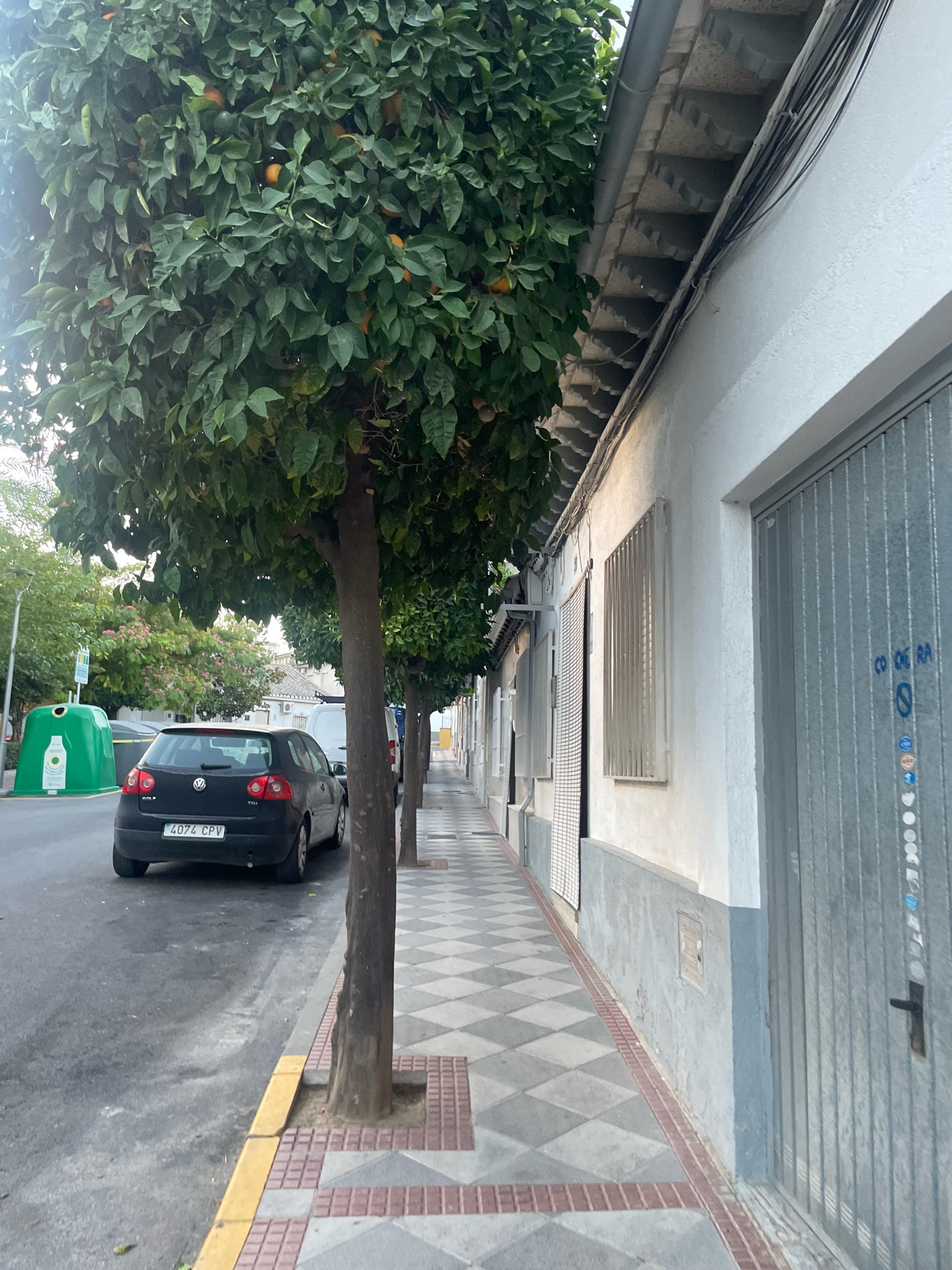 A black Volkswagen Golf, license plate 4074 CPV, is parked on the street next to a sidewalk lined with trees bearing oranges. The sidewalk has a diamond pattern of grey and white tiles with a red tile border. To the right of the sidewalk is a white building with a grey corrugated metal garage door and barred windows. Wires are strung along the side of the building. A green recycling bin is visible on the left side of the street. The scene is located in Atarfe, Spain.