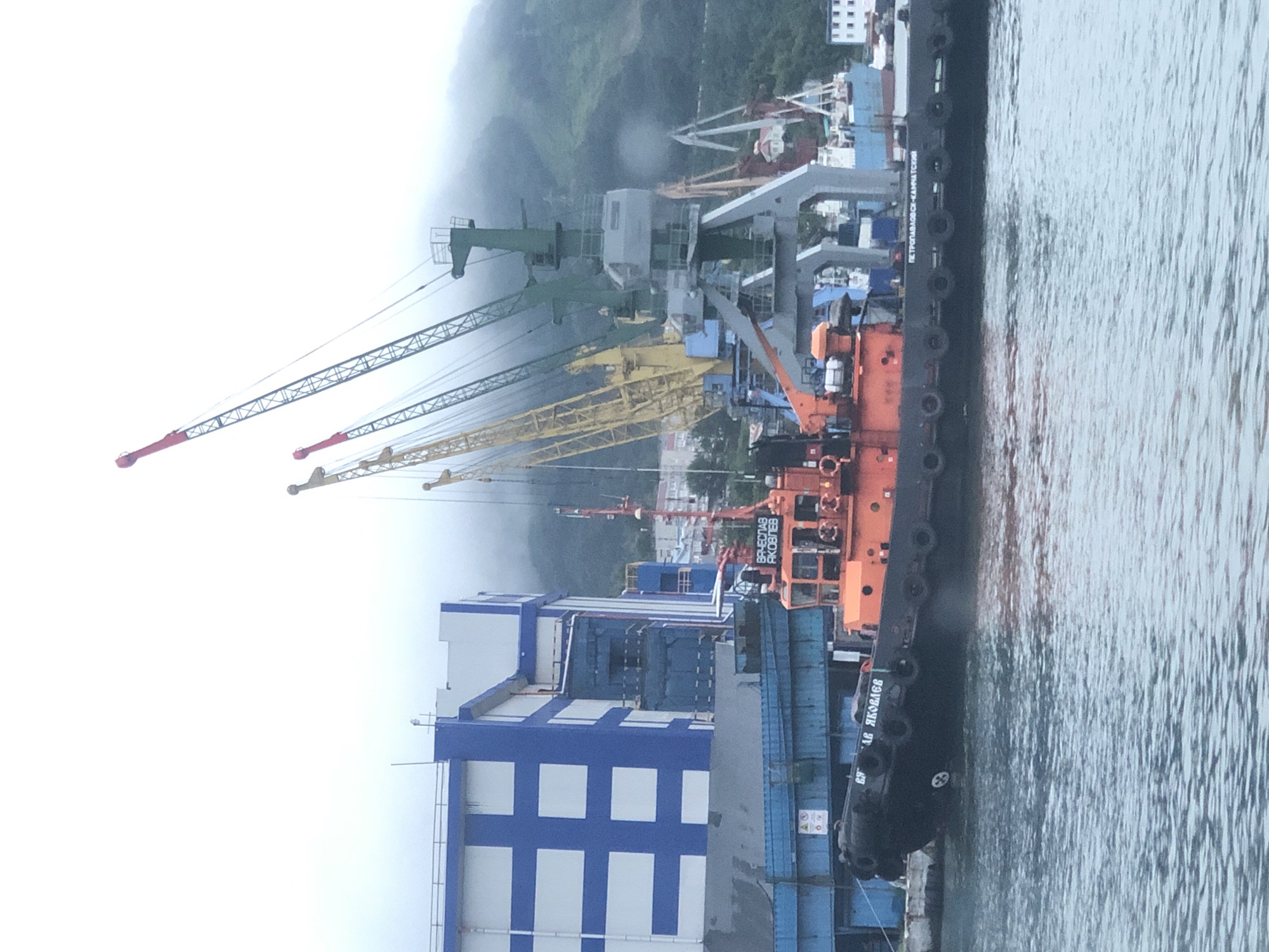 This is a photograph of a harbor in Petropavlovsk-Kamchatsky, Russia, on an overcast day. In the foreground, a black and orange tugboat is docked. The tugboat has the name "ВЯЧЕСЛАВ ЯКОВЛЕВ" (Vyacheslav Yakovlev) written on its side in Cyrillic. Further back, a large blue and white industrial building with a checkered facade is visible. Several large cranes, including yellow and green ones, dominate the middle ground of the image, suggesting port operations. In the background, a misty, mountainous landscape is obscured by fog. The water in the harbor is calm and reflects the muted colors of the sky and industrial structures. There are no visible people.