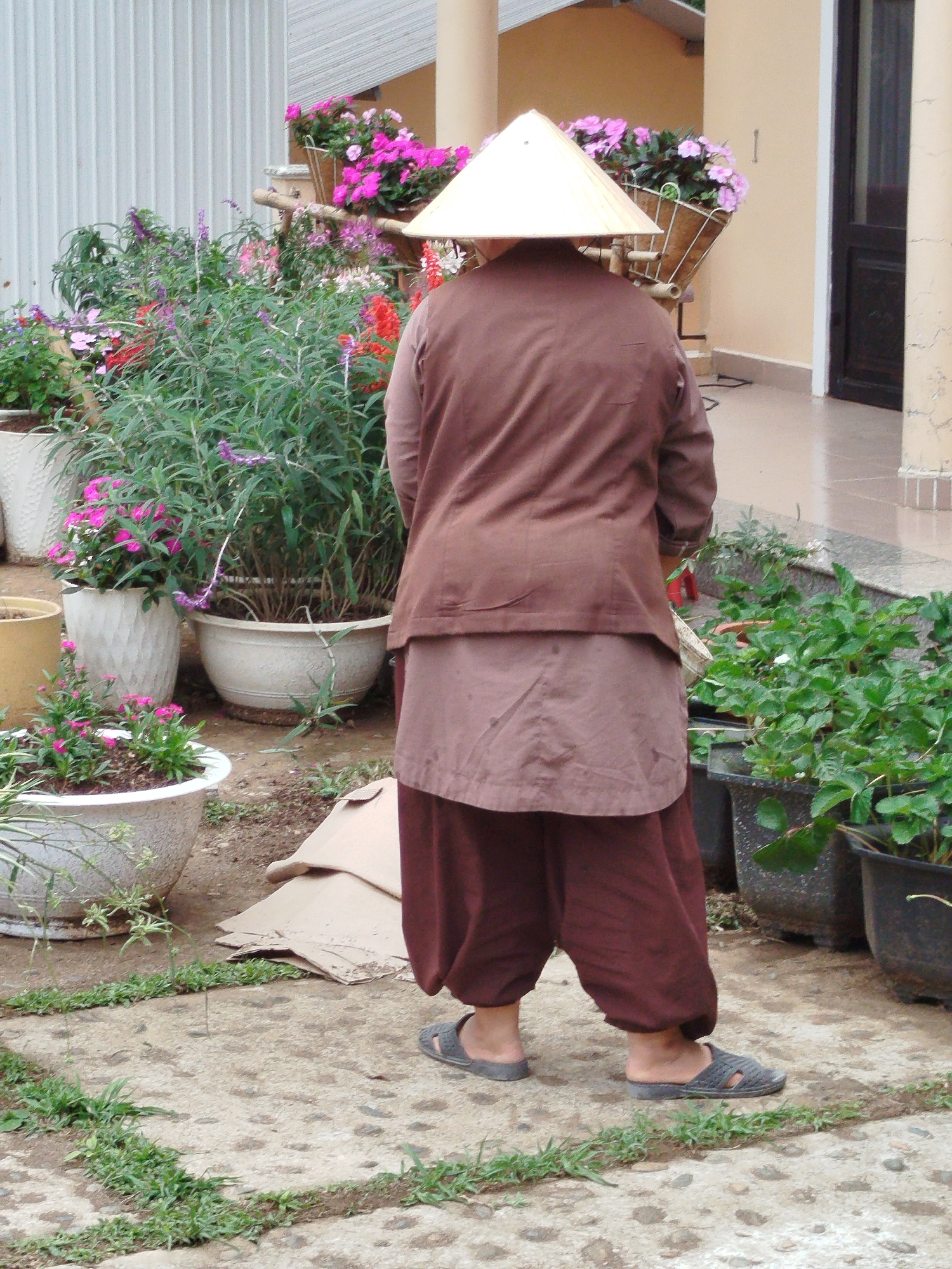 A person wearing a traditional conical hat is standing on a cracked concrete patio in front of a building. The person is wearing a brown outfit that includes a jacket, loose pants, and sandals. They are surrounded by various potted plants, including flowers and greenery. A piece of cardboard is lying on the patio near the plants. The building has a dark door and a tan exterior. Based on the style of the hat and clothing, this is likely in Da Lat, Vietnam.