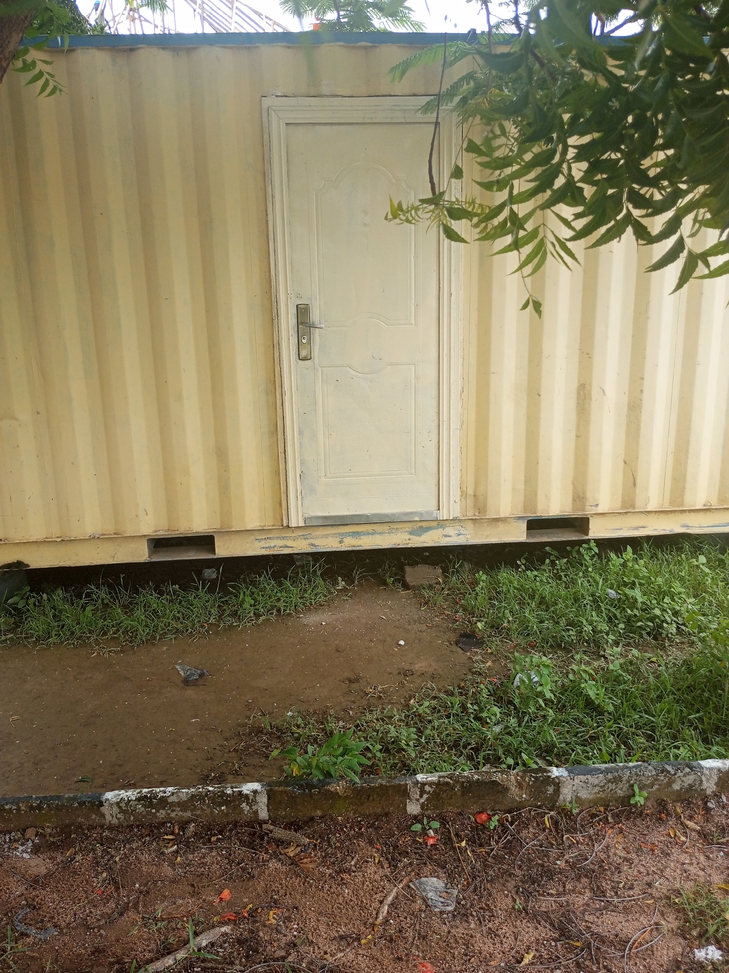 A cream-colored metal shipping container is pictured, featuring a single white door with a silver handle and lock. The container's corrugated surface is visible, with green foliage from an overhanging tree partially obscuring the top left of the image. The ground in front of the container is a mix of dirt and patchy green grass, with a small muddy area to the left. A low concrete border with white and black paint separates the grassy area from a sandy, debris-strewn ground in the foreground. There is no visible text. The lighting suggests it is daytime, and the presence of puddles and damp ground indicates recent rainfall or ongoing moisture. The setting appears to be an outdoor, possibly semi-urban or industrial, environment in Jalingo, Nigeria.
