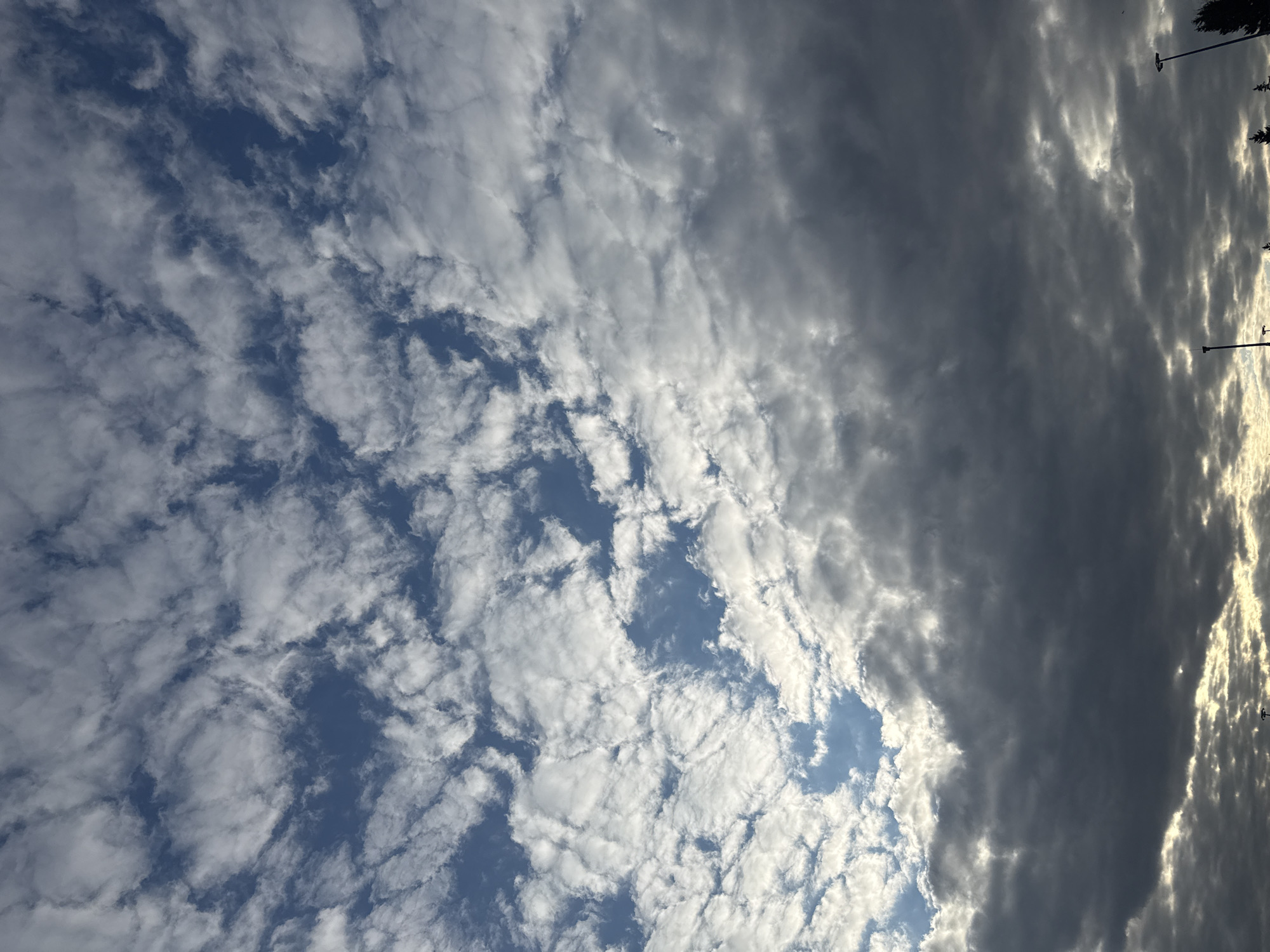 The image shows a sky view, likely in Lupanovo, Russia, given the prompt. The sky is partially covered with layered clouds. The left side shows a higher density of small, white clouds with patches of blue sky visible in between. The right side features much darker, thicker clouds, obscuring the sky and suggesting possible overcast conditions or an approaching storm. There is some vegetation and what appears to be a streetlight silhouette visible in the upper-right corner. The image is oriented vertically.