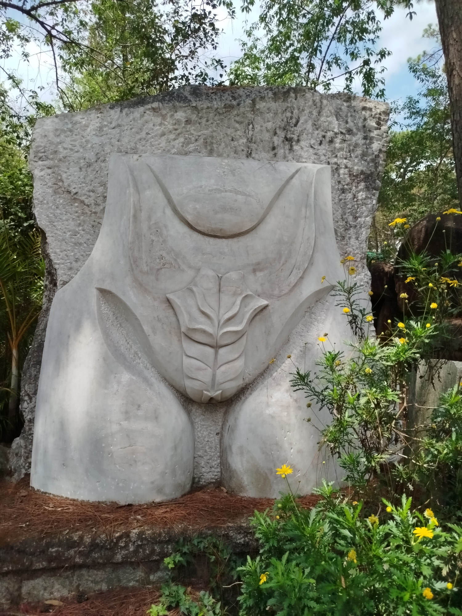 The image shows a large, gray-toned stone sculpture that resembles stylized human pelvic area. The sculpture features defined rounded shapes on the lower sides, a central leaf-like design, and a curved upper portion. The sculpture is positioned in front of a large, textured gray stone.
The surrounding environment includes lush greenery with various trees, plants, and small yellow flowers. The ground around the sculpture is covered with pine straw or similar dry plant material.
Based on the artistic style and information available, the sculpture is likely located in the Crazy House (Hang Nga Guesthouse) in Da Lat, Vietnam. The Crazy House is known for its surreal and unconventional architecture, which often includes animal or plant-like structures.