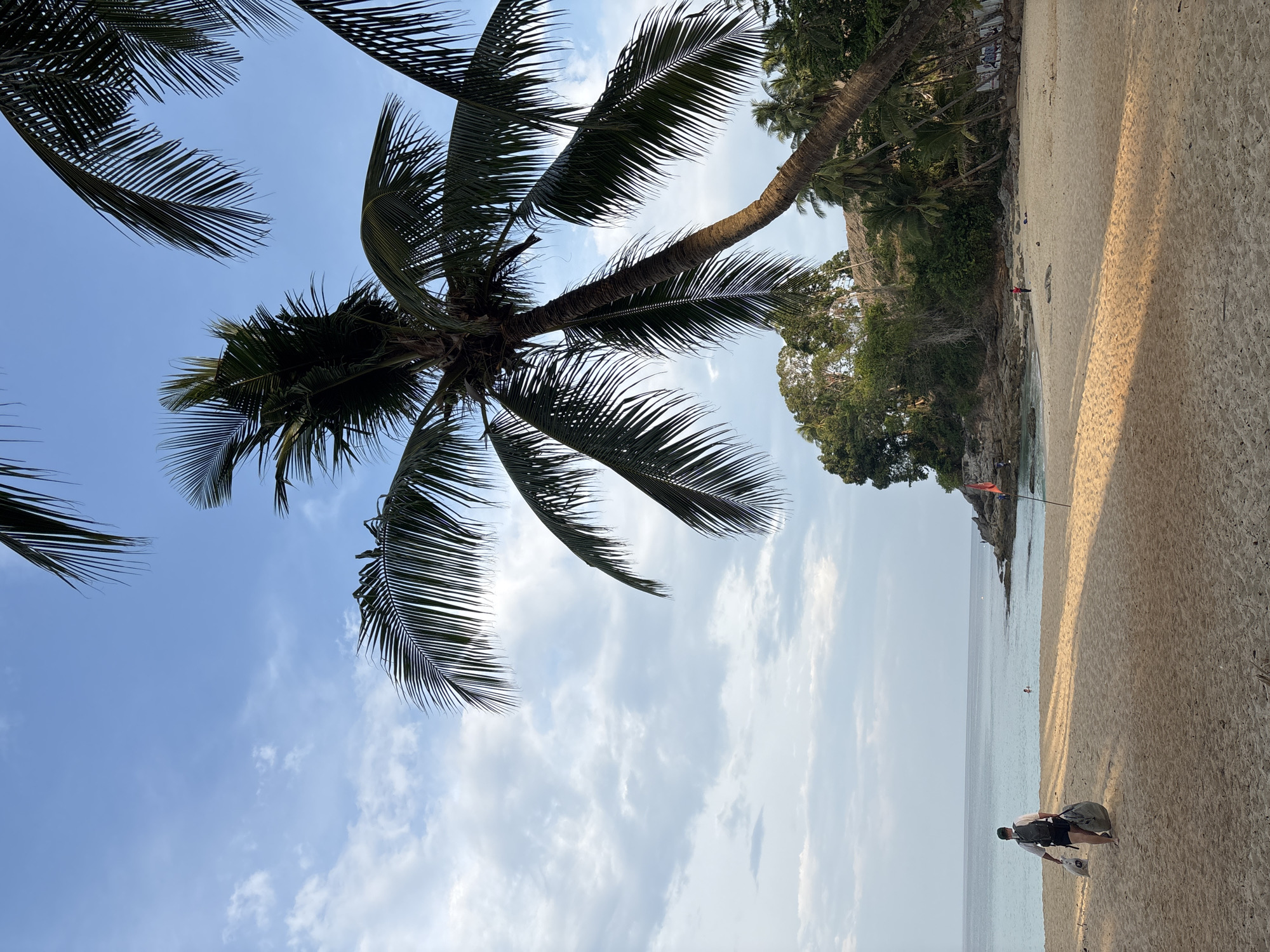 The image depicts a beach scene in Choeng Thale, Thailand. The foreground features a sandy beach where a person is standing near the water's edge. The person is wearing dark shorts, a white shirt, and carrying something, possibly equipment, on their back and a paddle. The ocean extends to the horizon with a few indistinct figures visible in the water. To the right of the beach is a rocky outcrop covered with green vegetation, possibly a small island or headland. Above the beach and stretching towards the sky, palm trees with green fronds dominate the left side of the image. The sky is mostly blue with scattered white clouds. The overall scene suggests a tropical beach environment, possibly during the late afternoon or early morning given the angle of the light.