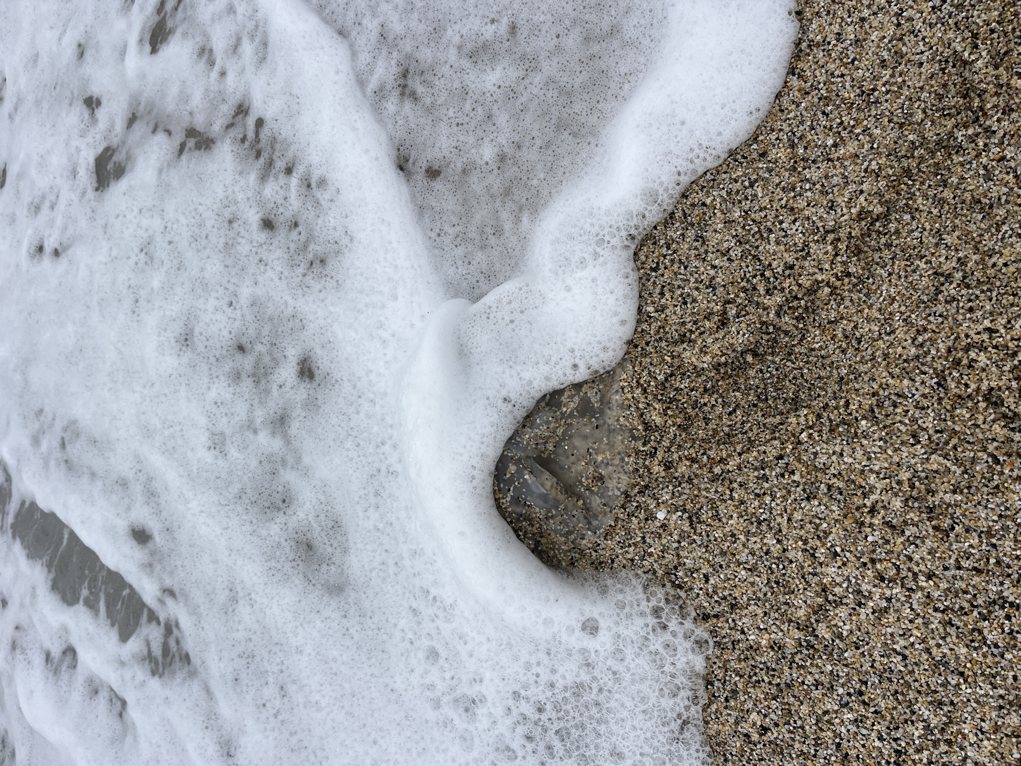 The image displays a close-up, high-angle view of the waterline on a beach in Alanya, Turkey. The lower right portion of the frame features coarse-grained sand composed of varied beige, brown, white, and black particles. Occupying the upper and middle sections, a receding wave of dense white sea foam, characterized by numerous small bubbles, spreads across the wet sand. A translucent, irregularly shaped object, approximately 10-15 cm in visible diameter, rests on the wet sand in the lower-left quadrant, partially obscured by the white foam. The object exhibits a gelatinous or semi-solid appearance and is consistent with a marine organism or debris. No human or animal figures are present.