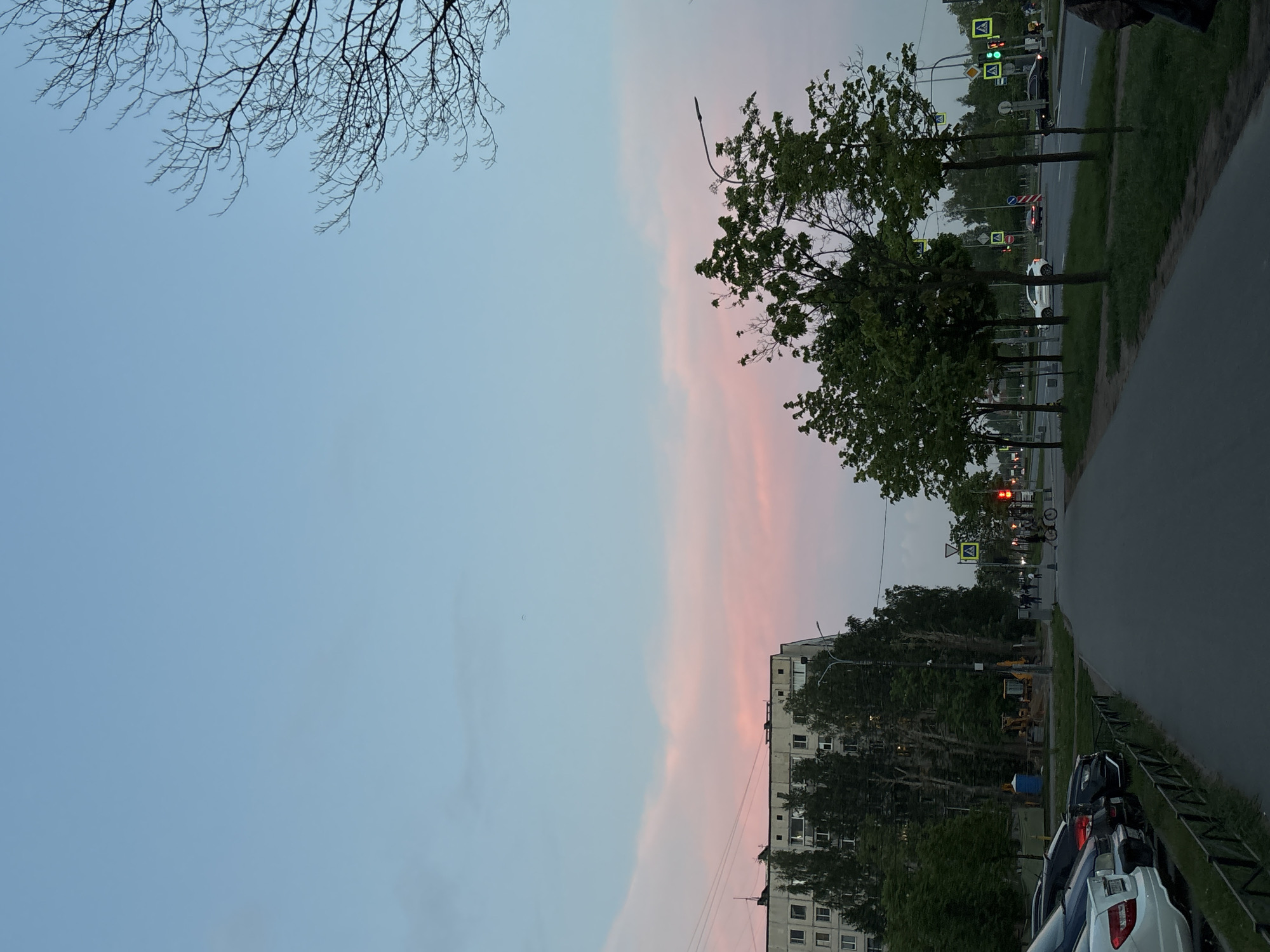 The image shows a street scene in Vsevolozhsk, Russia, taken during twilight. The sky is light blue, tinged with pinkish hues near the horizon. Bare tree branches are visible in the upper left corner. On the right side, green trees line the street. A multi-story apartment building is present in the lower right of the frame. Cars are parked along the roadside, next to a metal fence. The roadway stretches into the distance, marked with traffic lights, with a red light visible in the distance. Traffic signs and pedestrian crossings are noticeable.