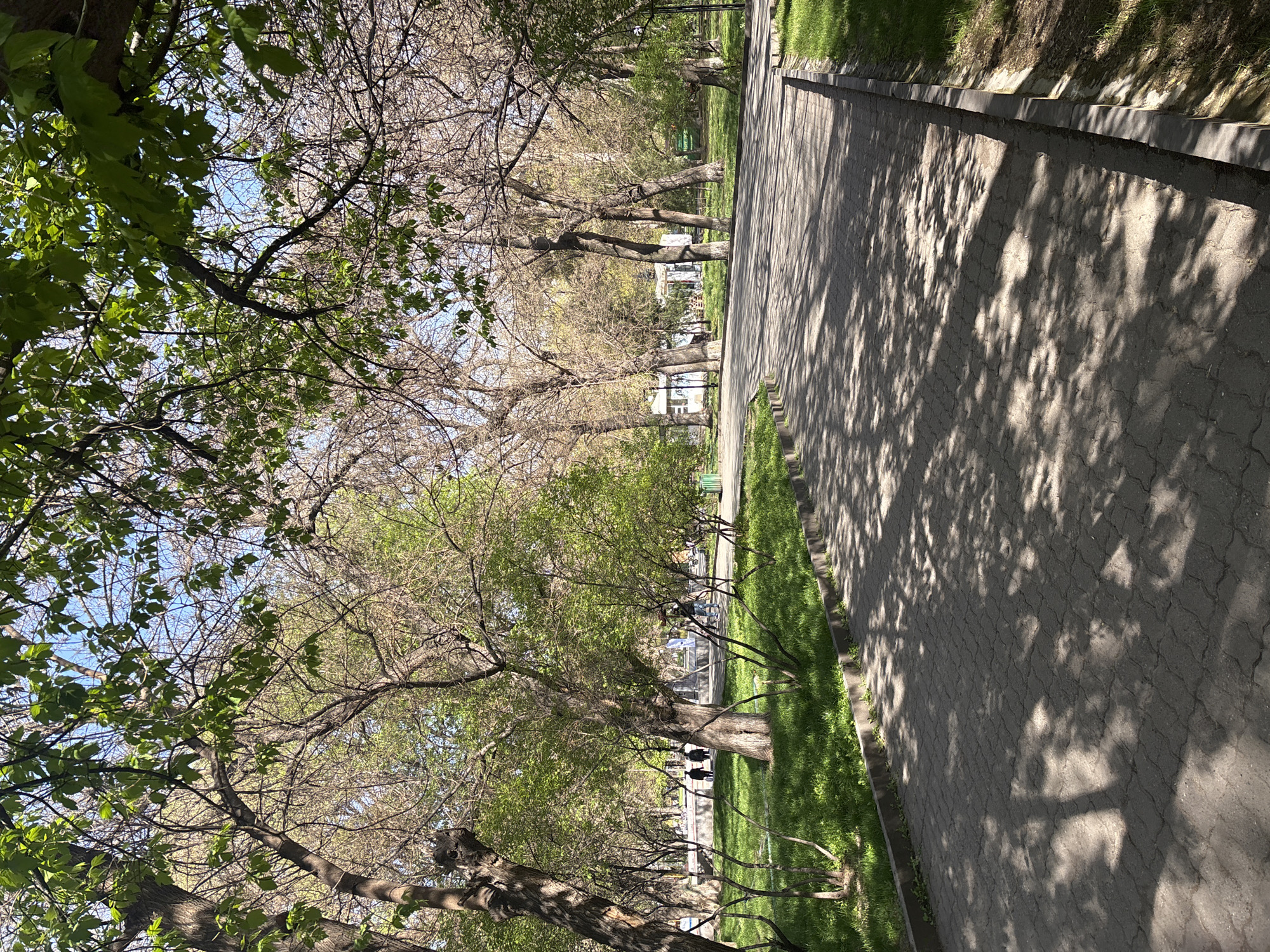 The image depicts a walkway in a park setting, possibly in Yerevan, Armenia, given the context. The walkway is paved with interlocking stones, with a concrete curb separating it from the grassy areas on either side. Tree shadows dappled across the walkway suggest a time of day with direct sunlight. Trees line both sides of the walkway, some showing early spring foliage and others with bare branches. In the background, glimpses of park structures and benches can be seen. The angle suggests the photo was taken from the side of the walkway.