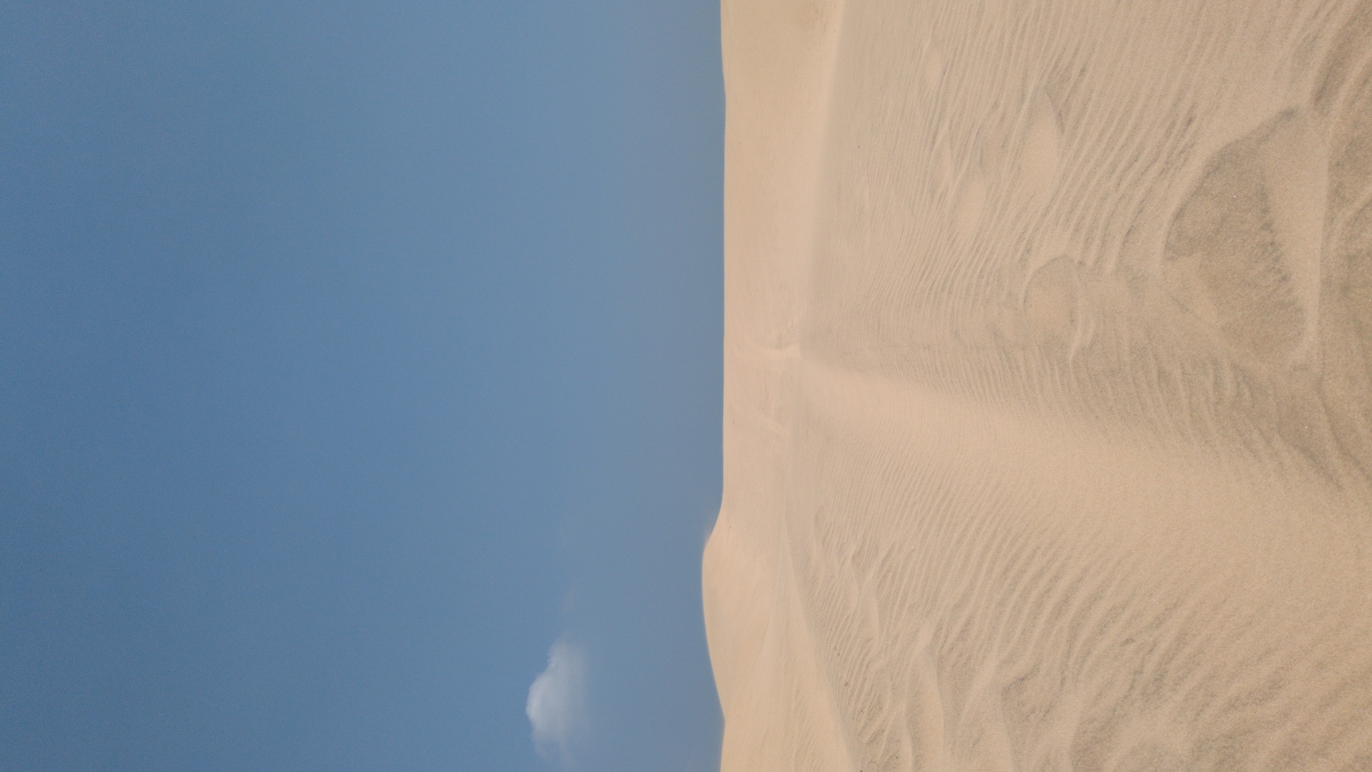 The image shows a tall sand dune in Phuoc Dinh, Vietnam, contrasting against a clear blue sky. The dune occupies roughly half of the frame on the right side, exhibiting a ridged and patterned texture created by wind. The sky is on the left side, with a small cloud. The image is oriented vertically, with the top of the dune extending off the top of the frame. There are no people visible in the image.