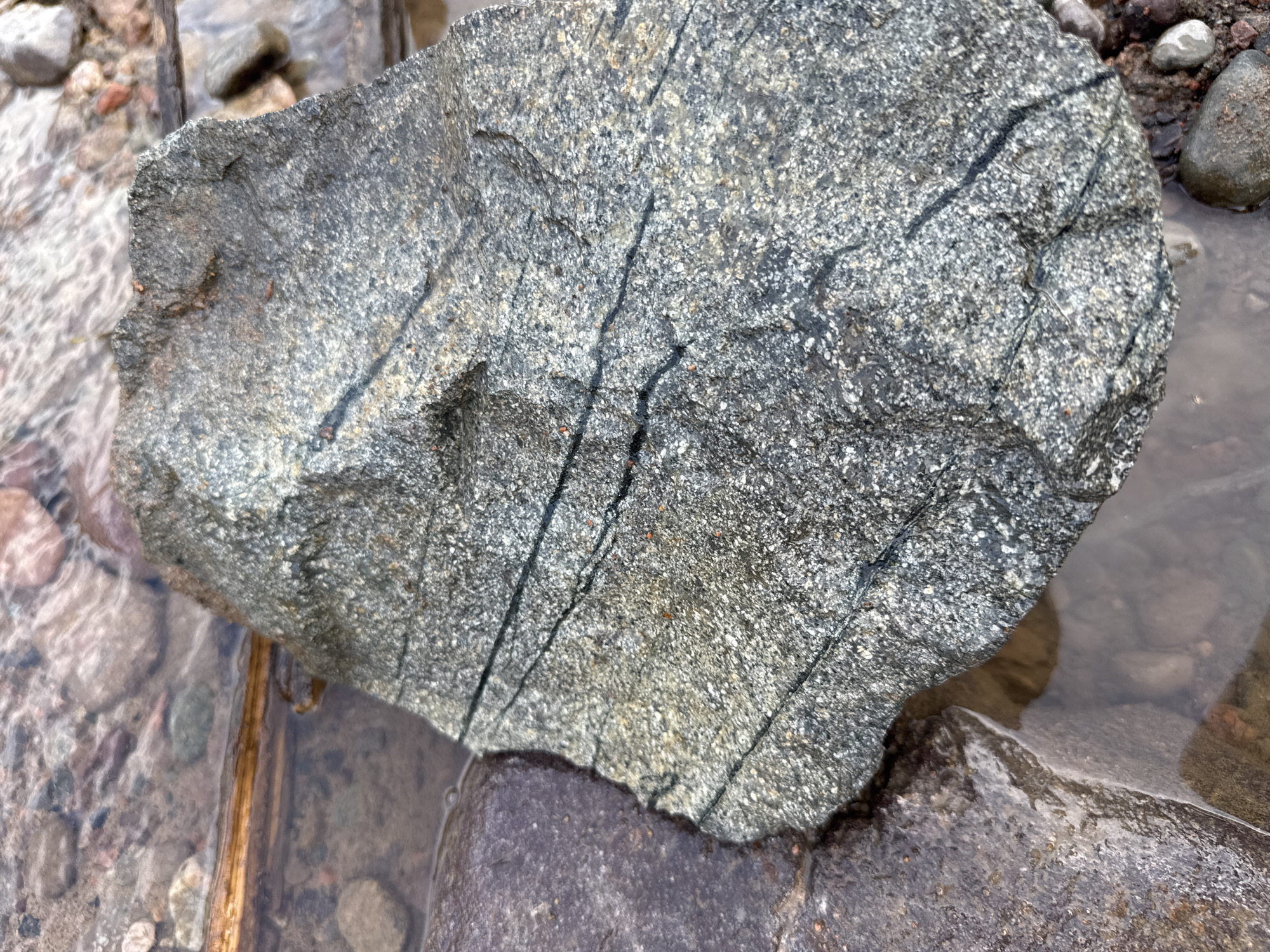 A close-up, high-angle shot shows a large, gray, speckled rock with dark, linear veins resting in shallow, clear water, surrounded by other rocks and pebbles. The rock appears to be a granite or gneiss, with visible mineral grains. The water is clear enough to see the smooth, rounded stones beneath the surface, some of which are brown and reddish, while others are a darker gray. A piece of weathered wood, light brown in color, is partially submerged in the water to the left of the main rock. The background shows more of the watery environment with rocks and pebbles scattered about. The scene is devoid of any human presence. The location is the city of Leskhoz, Kazakhstan.