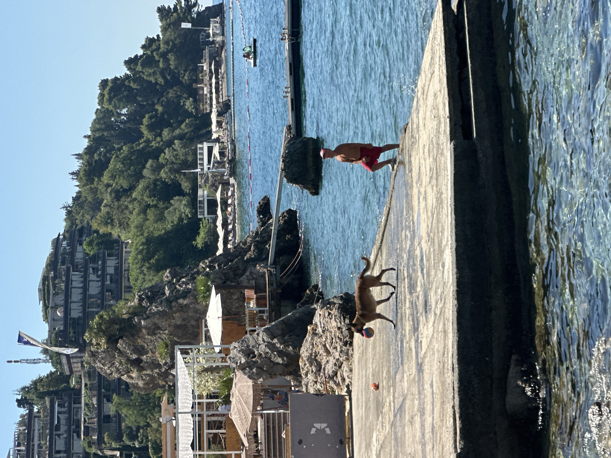 In Budva, Montenegro, a brown dog with a ball in its mouth walks on a concrete pier overlooking a calm blue sea. The dog carries a ball with multi-colored segments in its mouth. Nearby, a person wearing red shorts and a red cap stands at the edge of the water. The background features lush green hills covered in trees, dotted with buildings resembling hotels or apartment complexes. Several white umbrellas and lounge chairs are visible along the shoreline, indicating a beach or resort area. The sky is clear and blue.