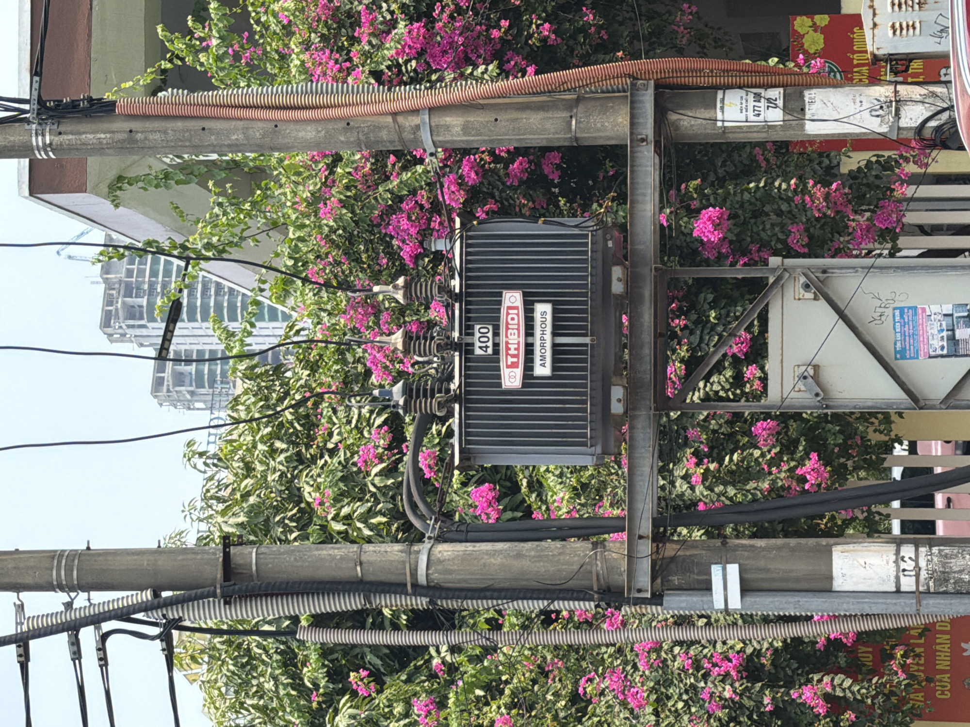 This image captures a busy urban utility pole system in Đà Nẵng, Vietnam, dominated by an electrical transformer amidst lush pink flowering bougainvillea. The scene is brightly lit, indicating daytime with a clear sky overhead.
At the center, a dark gray electrical transformer is mounted on a metal frame, connected to numerous wires and thick conduits that snake across multiple utility poles. The transformer bears white text reading "400", "THIBIDIO", and "AMORPHOUS" on red and white labels. Below the transformer, more cables are visible, some encased in corrugated black and white tubing.
The utility poles themselves are thick and gray, heavily laden with various electrical lines and communication cables, many bundled together or covered in protective conduits. Several small, weathered posters and signs are affixed to the poles. One poster shows the numbers "477 ADO" and "712". Another sign, partially visible on the right with red and yellow colors, includes the Vietnamese phrase "CỦA TỔ QUỐC" (Of the Fatherland) and "T, THI". Other discernible Vietnamese text snippets include "TỔNG KHO MIỀN TRUNG" (General Warehouse Central Region), "CỦA NHÂN DỄ", "AJYEN LA", and "NOY".
Behind the utility infrastructure, vibrant pink flowering plants, likely bougainvillea, create a striking natural contrast against the industrial elements. In the background, modern multi-story buildings are visible, with one appearing to be under construction, featuring exposed steel frameworks. The blend of dense utility lines, blooming flowers, and urban architecture paints a typical street scene from a Vietnamese city.