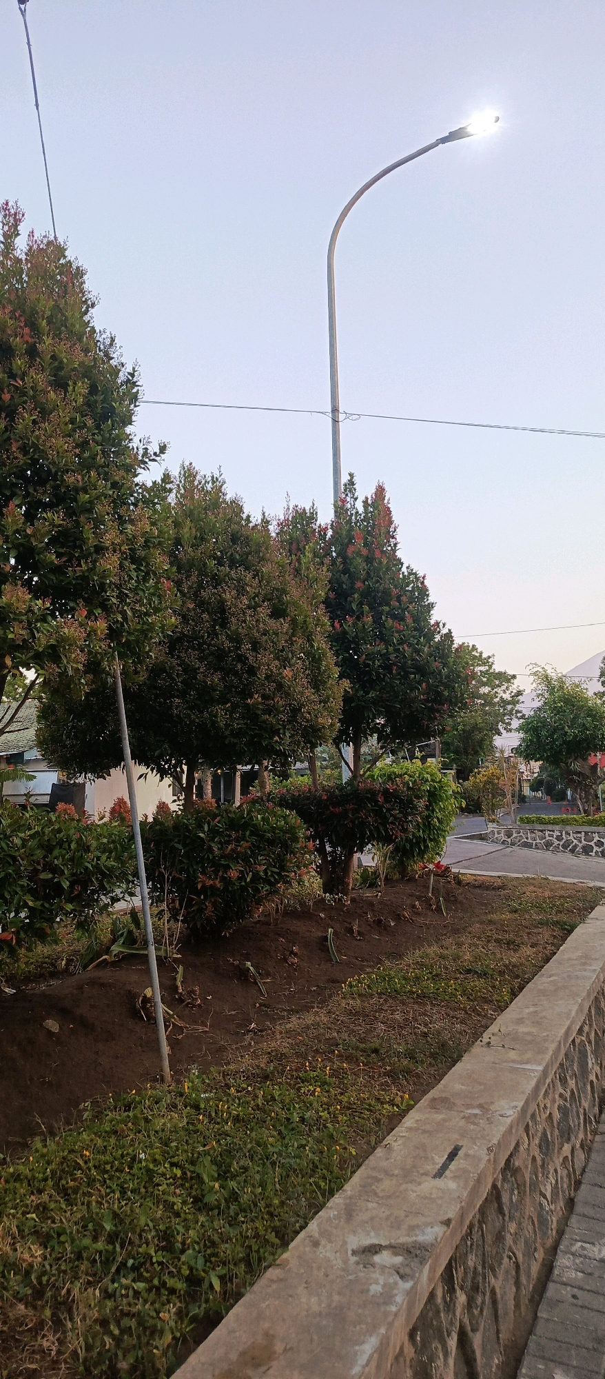 The image depicts a street view in the city of Batu, Indonesia, likely during twilight or early morning due to the soft lighting and clear sky. A prominent feature is a tall street lamp with its light on, casting a bright glow. In the foreground, there is a manicured garden area with several trees and bushes. The trees have dark green foliage with hints of reddish-brown new growth. The bushes are neatly trimmed and form a dense border. The ground in the garden is covered with dark soil and some dried grass. A concrete pathway lined with a stone wall runs along the right side of the image. In the background, some buildings and other trees are visible. The overall scene conveys a sense of order and tranquility in an urban or suburban setting.