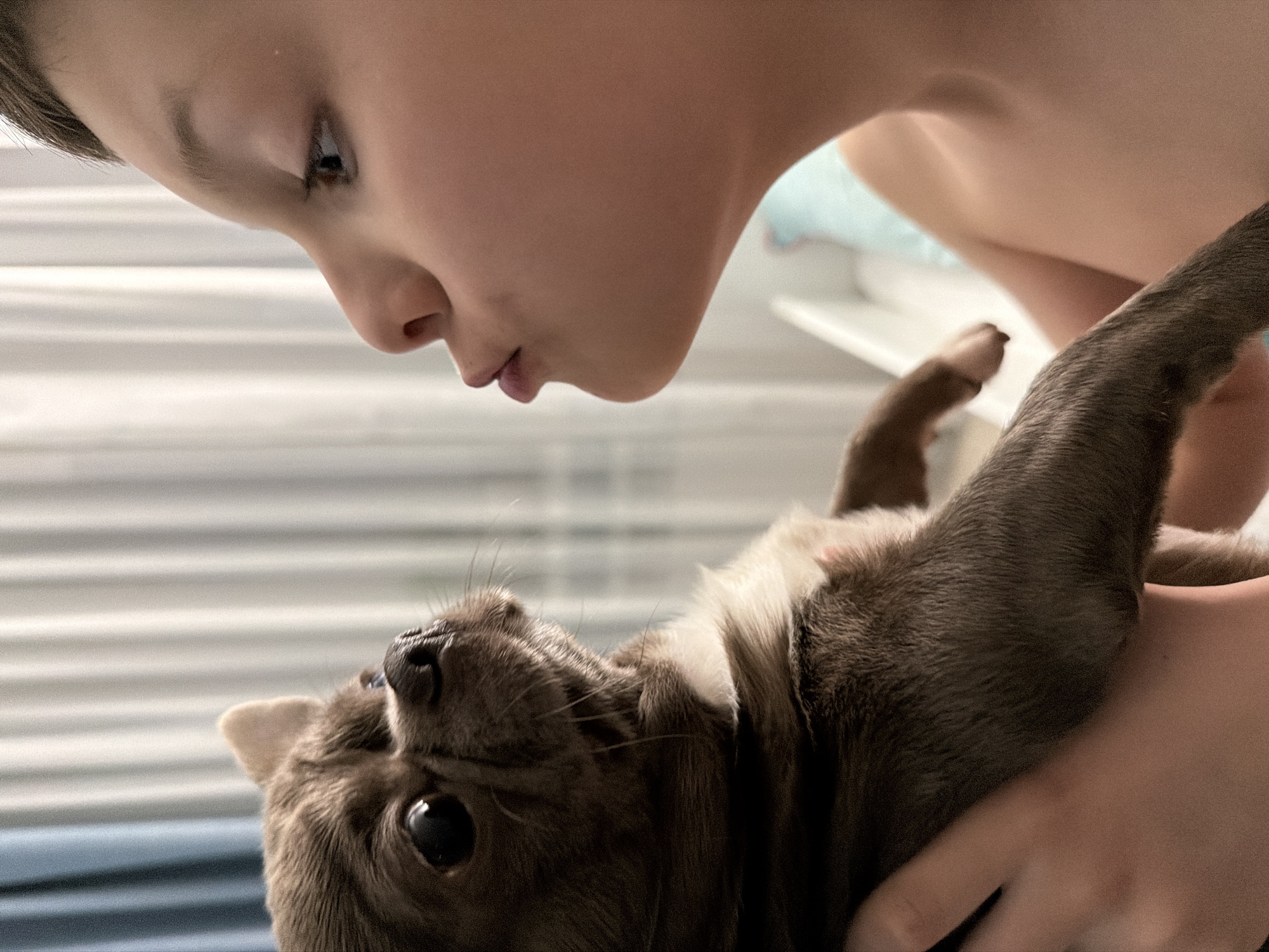 A child with short brown hair puckers their lips as if to kiss a brown and white puppy that is being held upside down. The setting is likely indoors, given the presence of what appears to be a window blind in the background. No information exists to confirm a location in Votkinsk, Russia.