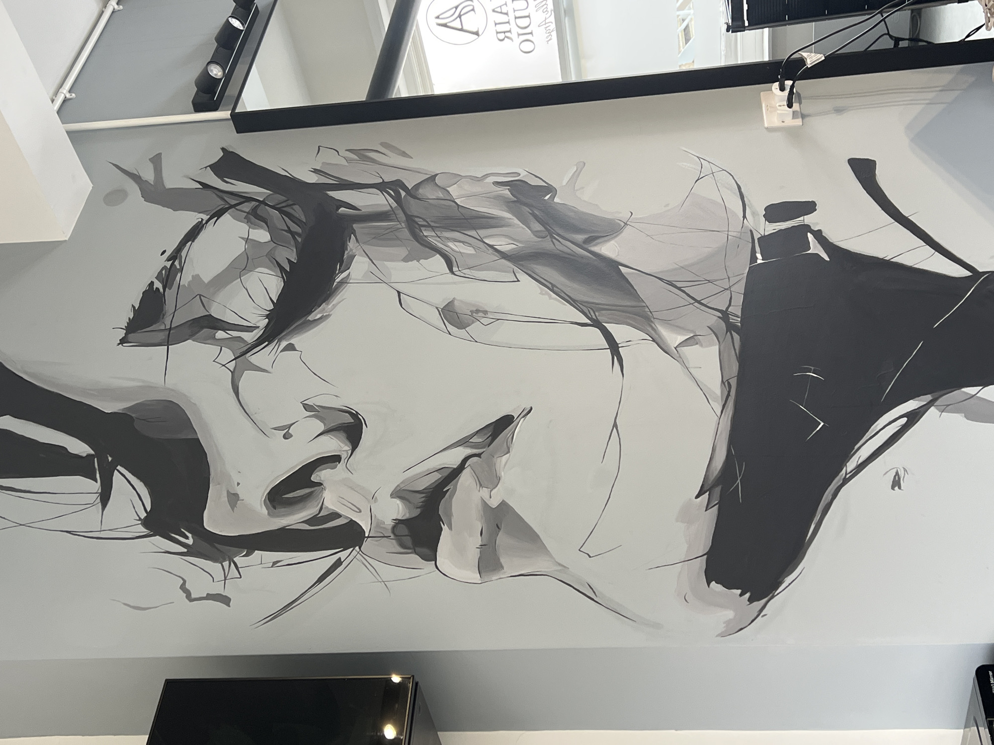 The image captures a close-up view of a mural or wall painting depicting a stylized portrait of a woman. The artwork is rendered in grayscale, using shades of black, gray, and white to create depth and dimension. The woman's face is in profile, with a focus on her facial features such as the eyes, nose, and mouth. The style is abstract and expressive, with bold strokes and lines that suggest movement and emotion. The painting is situated on a wall, with parts of the ceiling and other architectural elements visible in the background. The scene appears to be indoors, possibly within a commercial space such as a salon or art gallery. The location appears to be in the city of Unknown, Unknown.