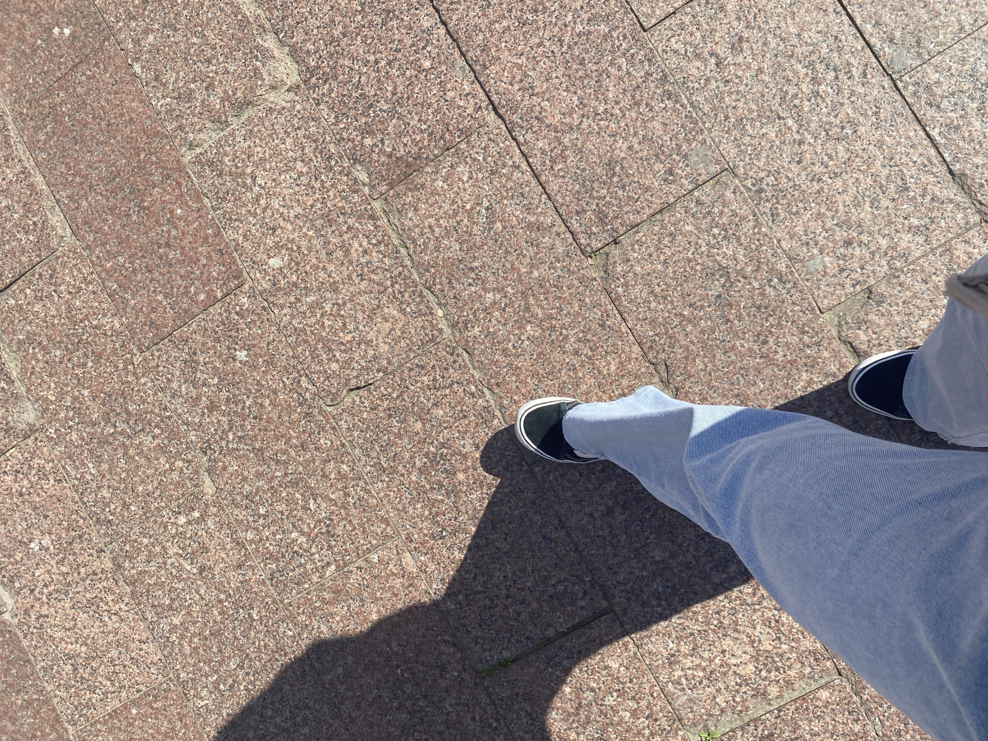 A top-down view shows a section of a pedestrian area paved with rectangular reddish-brown granite stones. Light blue denim jeans and black and white sneakers are visible on the right side of the frame. A shadow cast by the person wearing the jeans falls on the stone pavement. A small patch of grass is seen growing between the stones at the lower right corner of the shadow. The location is likely Novi Sad, Serbia, due to the style of granite paving seen in that city.