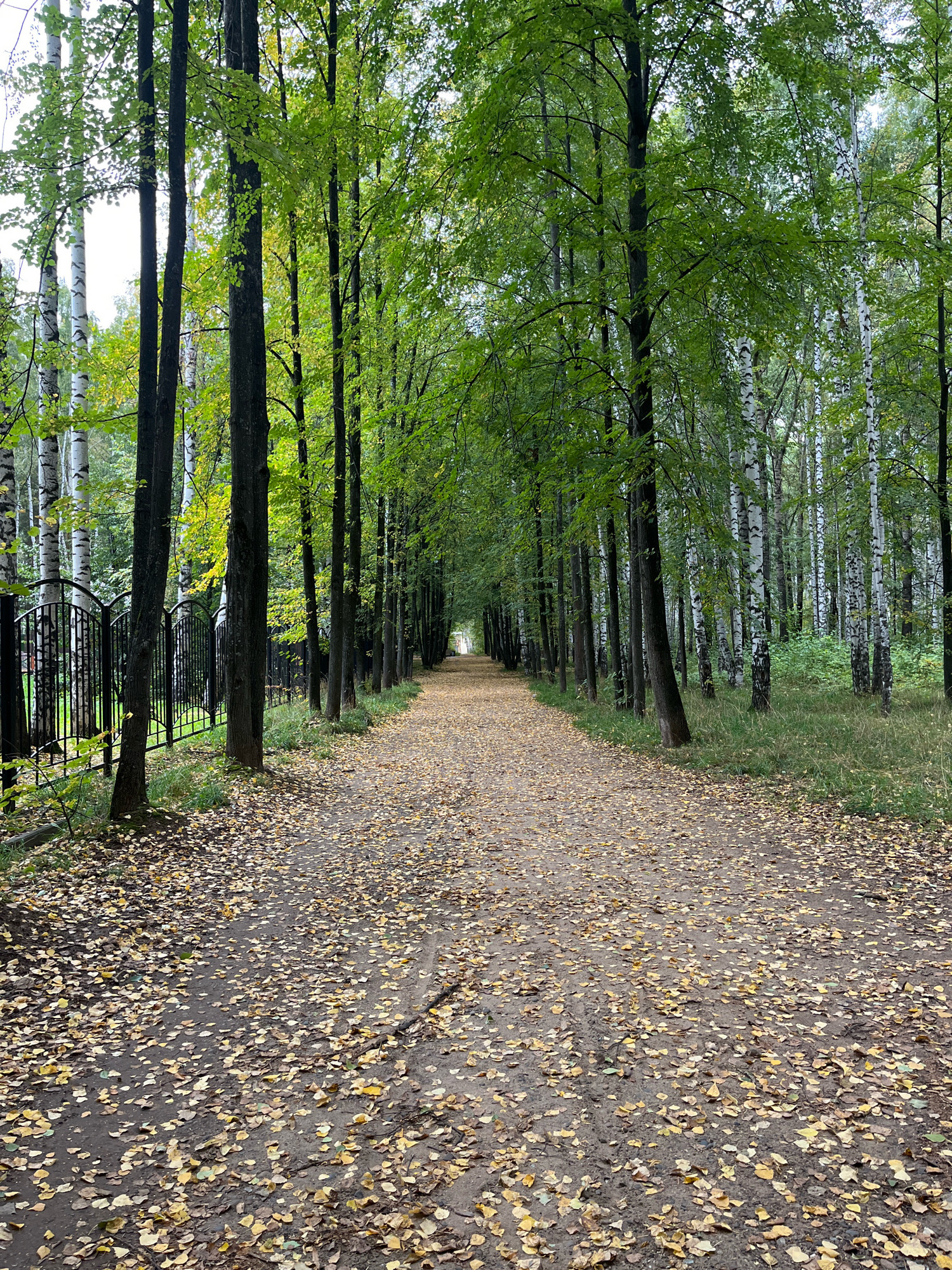 A dirt path lined with trees and fallen leaves runs through a park in Chaikovsky, Russia. On the left side of the path, a black wrought-iron fence encloses a green lawn and more trees. The path stretches into the distance, disappearing around a bend. The trees are a mix of deciduous and birch, with green and yellow leaves. The ground is covered in a thick layer of fallen leaves, indicating autumn. The sky is overcast, suggesting a cool, possibly damp day. There are no people or animals visible in the image.
