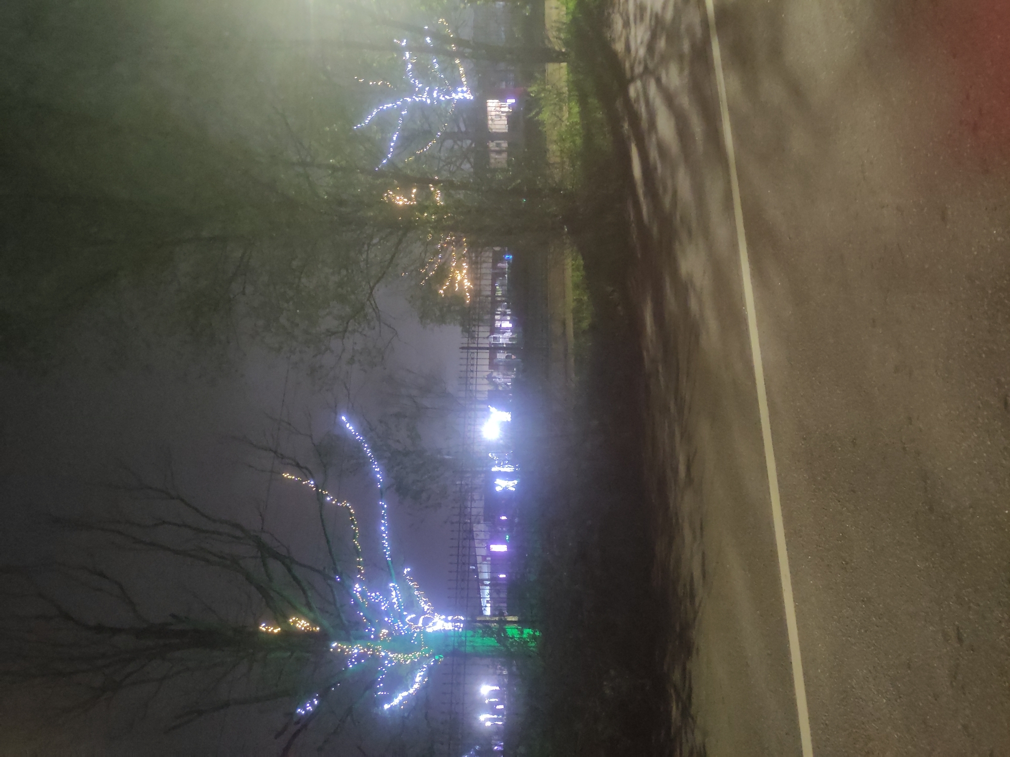 The image shows a night view in Khimki, Russia. Trees are decorated with colorful lights, predominantly blue, green, and yellow. In the background, a fence and buildings with illuminated windows can be seen. To the right is a paved road with a white line marking the edge. The atmosphere suggests a foggy or misty night.