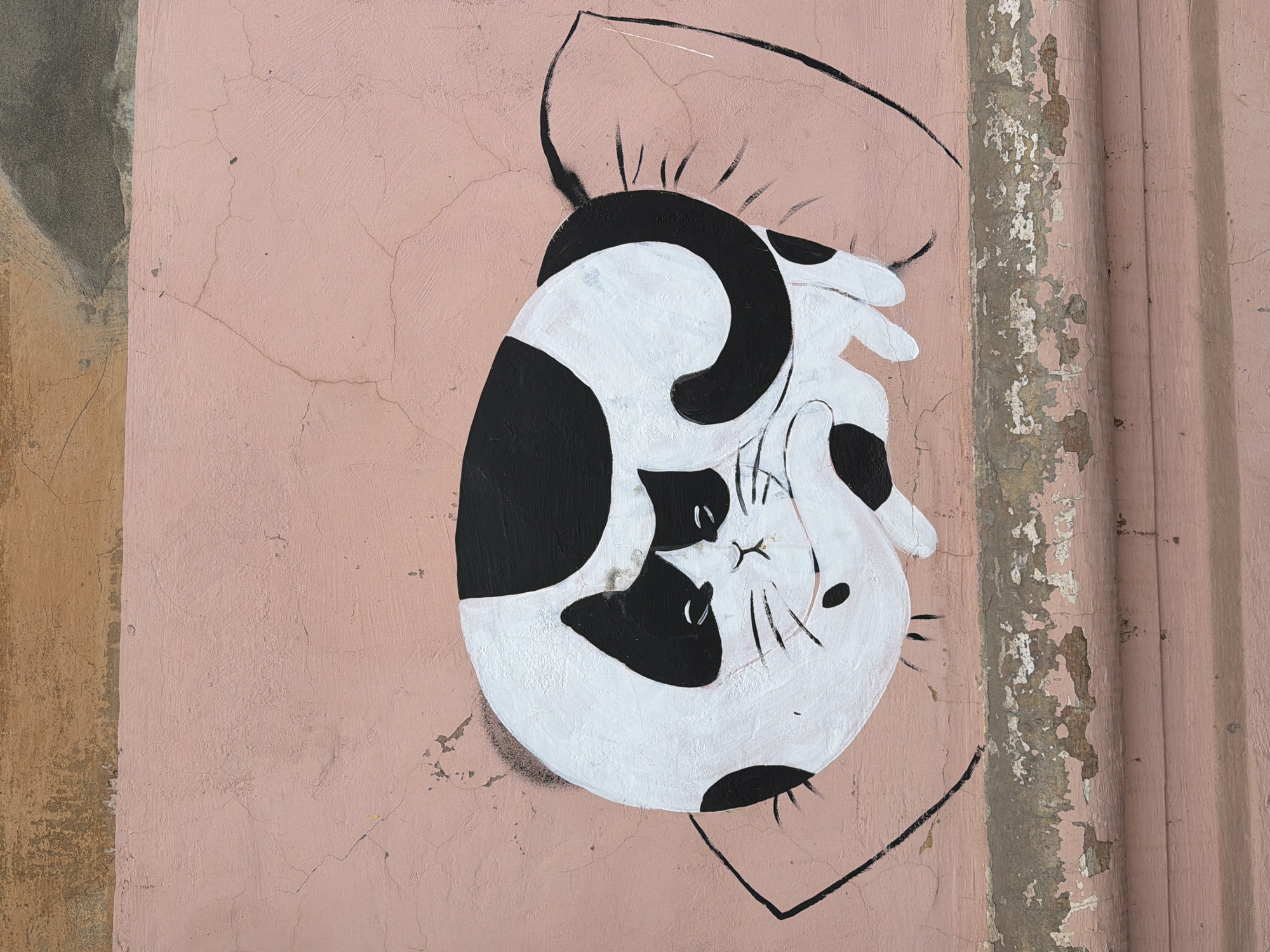 A mural of a sleeping, curled-up black-and-white cat is painted on a pink exterior wall of a building. The wall has cracks and peeling paint, and is adjacent to a vertical textured column on the right and a lighter-colored wall on the left. The mural is in Votkinsk, Russia.