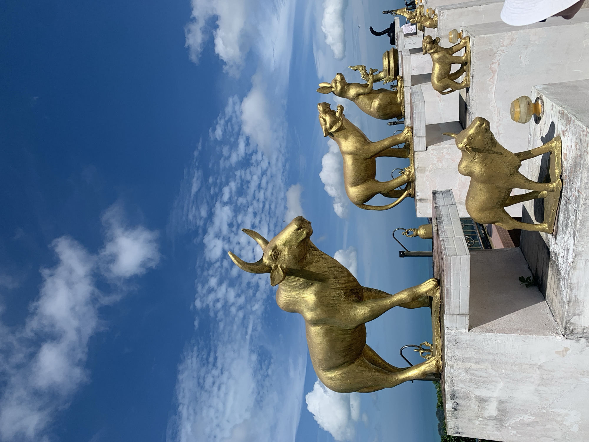 A low-angle, outdoor, eye-level shot shows several golden animal statues on a multi-tiered platform under a blue sky with scattered white clouds. The largest statue, a bull with prominent horns, stands on the left side of the frame, facing right. To its right, on a slightly higher tier, are statues of a tiger, a rabbit holding a staff, and a black cobra coiled around a base. Smaller golden statues of a bull and a tiger are positioned on lower tiers in the foreground and midground. The statues are situated on white concrete platforms with some visible wear and tear. In the background, the blue ocean meets the horizon, suggesting a coastal location. The overall scene is bright and sunny, characteristic of a tropical climate. The presence of the statues and the distant ocean view suggests this may be a scenic viewpoint or a temple complex, possibly located in the Ko Samui District of Thailand, known for its temples and coastal beauty. No people are clearly visible in the frame, although a person in a white hat is partially visible on the far right edge of the image.