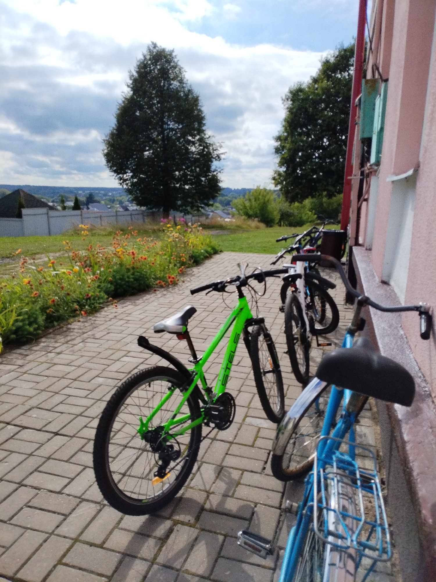 Four bicycles are parked on a brick-paved walkway next to a pink building in Bialynichy, Belarus. The foreground shows the rear wheel and part of the frame of a blue bicycle, with a silver rack attached. To its left is a bright green bicycle, seen from the side, with its front wheel and handlebars visible. Behind the green bicycle are at least two more bicycles with black frames. The building has a light pink facade with some green and red trim elements. The walkway is bordered by a strip of grass with yellow and orange flowers. In the background, there is a large, dark green tree, a fence, and a distant view of houses and trees under a cloudy sky.