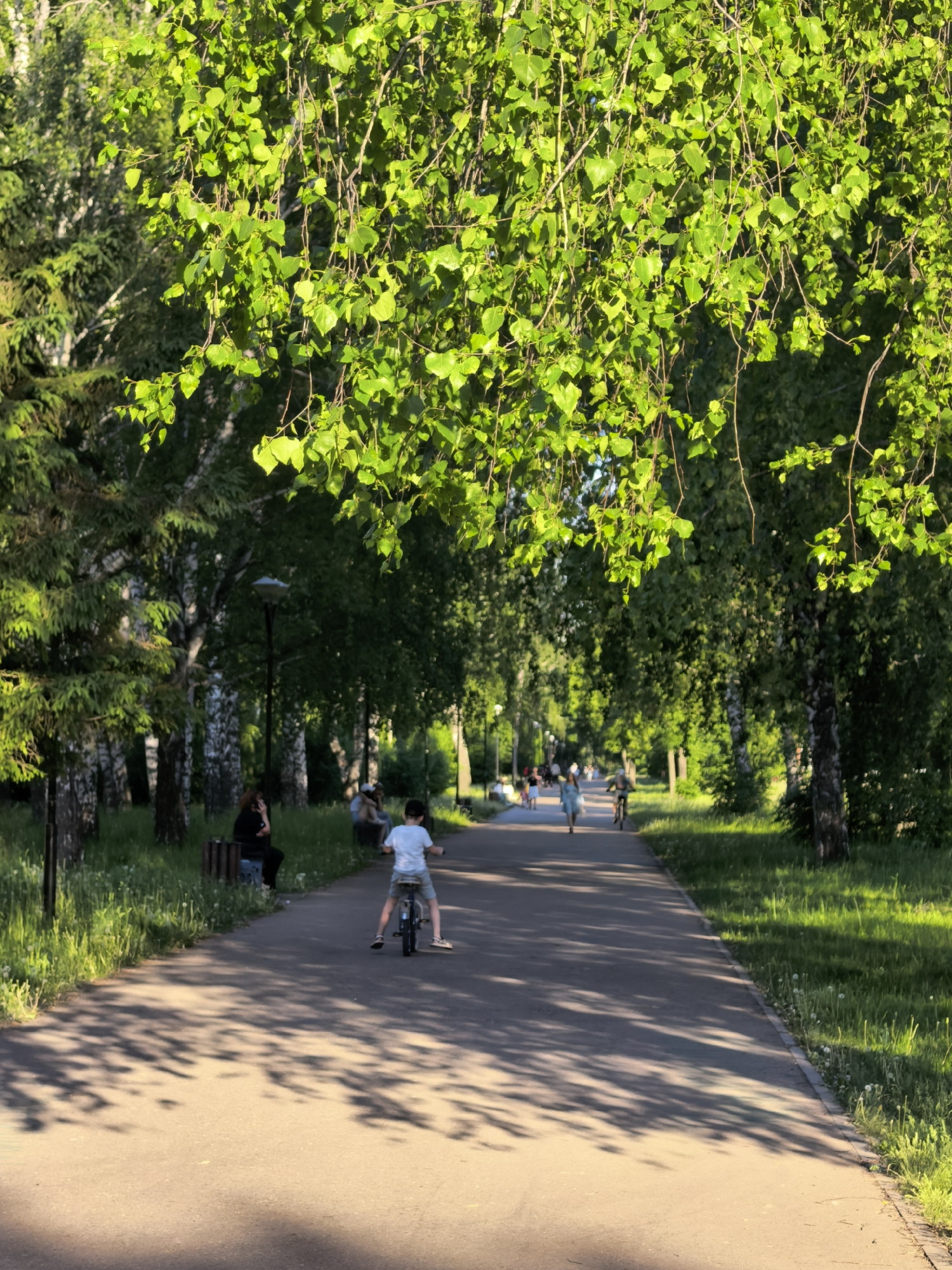 A public park pathway in Sterlitamak, Russia, shows a young boy riding a bicycle away from the viewer down the path. Shadows from overhanging trees dappled the paved surface. Several people are sitting on benches beside the path, with others walking and cycling in the distance. Trees line both sides of the path, creating a shaded, tunnel-like effect. Green grass is visible on either side of the pathway.