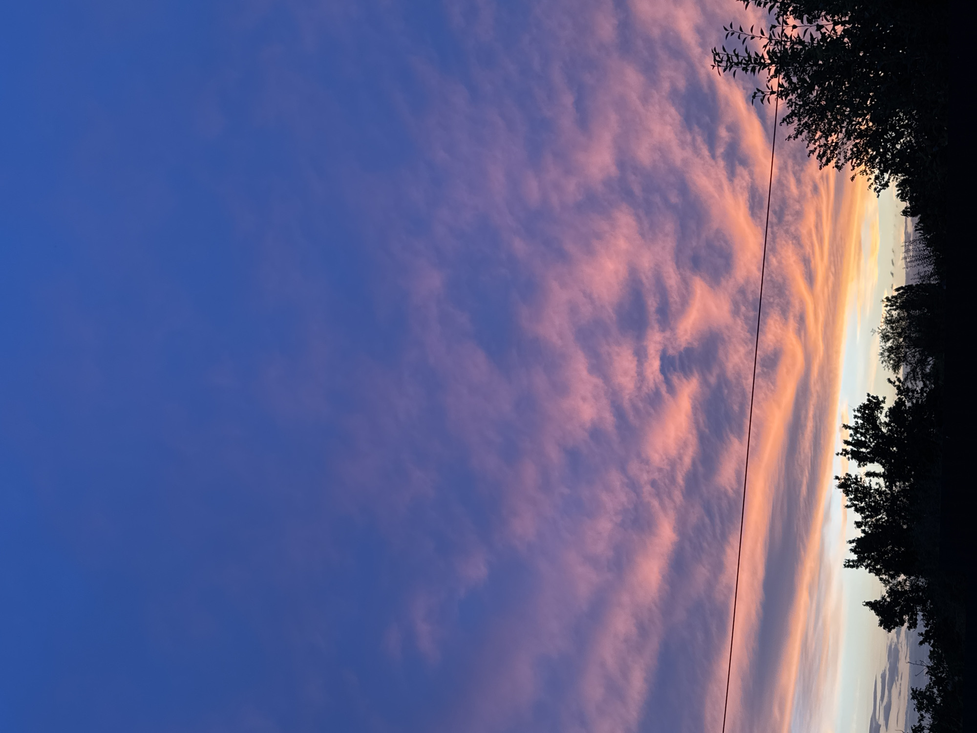 A telephoto, eye-level, full shot captures a vibrant sunset in an unspecified urban location. The sky dominates the frame, transitioning from a deep, dusky blue at the top to bands of soft pinks and oranges near the horizon. Wispy, elongated clouds are illuminated by the setting sun, creating a dramatic, textured effect. A thin, dark power line stretches horizontally across the middle of the image, slightly obscuring the lower clouds. Silhouetted against the colorful sky at the bottom are the dark, jagged outlines of trees and foliage, suggesting a park or suburban landscape. No people or specific landmarks are visible.