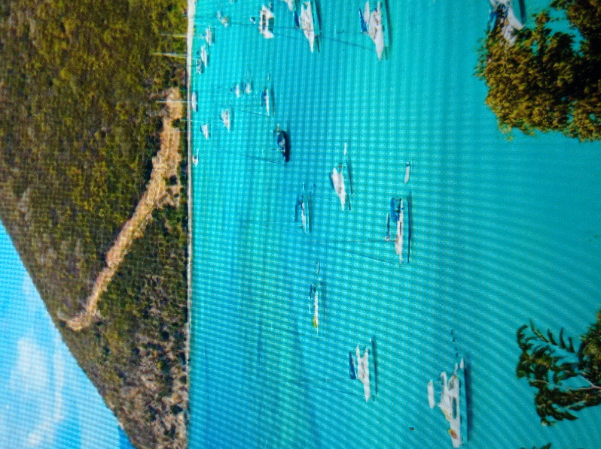This image depicts a vibrant turquoise body of water, likely a bay or harbor, dotted with numerous sailboats and catamarans. The boats are predominantly white, with some featuring dark hulls or blue accents. The water is calm, reflecting the clear blue sky and the lush green, tree-covered hillside that dominates the upper portion of the image. A light-colored path or road winds its way up the hillside. In the foreground, the fronds of palm trees suggest a tropical or subtropical climate. The scene is peaceful and serene, evoking a sense of vacation or leisure. The image does not show any elements that would suggest it is located in the city of Mukachevo, Ukraine.