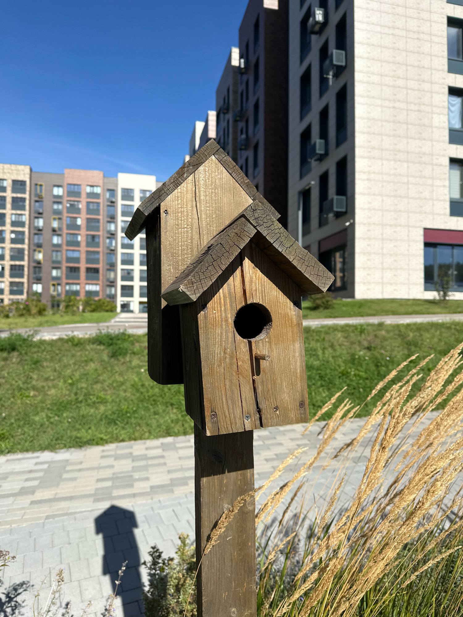 A wooden birdhouse is mounted on a post in a grassy area in front of several modern apartment buildings. The birdhouse is made of rough-hewn wood, with a small round opening on the front. A small perch extends below the opening. The apartment buildings in the background are tall and multi-story, with a mix of brick and concrete facades. The sky is clear and blue. The foreground includes dry grass stalks that are blowing in the wind, and a paved walkway. The scene appears to be in an urban or suburban setting, possibly a park or residential area. Based on the architectural style of the buildings, the location is likely Vidnoye, Russia, a city known for its modern residential developments.