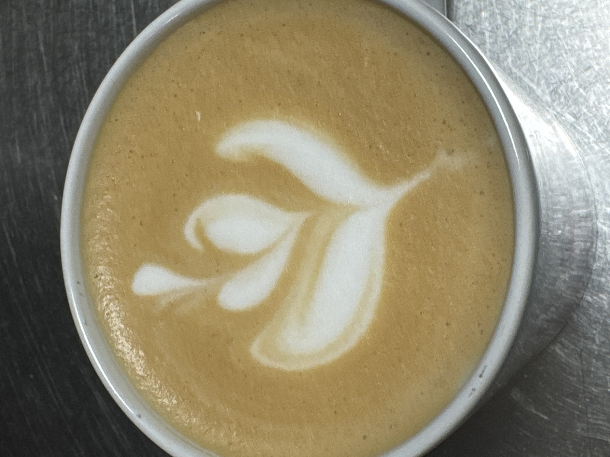 A top-down close-up shot shows a cup of latte art on a metallic surface. The latte art is a white, stylized floral or leafy pattern against a tan-colored coffee background. The cup is white and appears to be porcelain. The metallic surface has a brushed or grained texture, suggesting stainless steel or a similar material. The location is unspecified within Boreti, Montenegro.