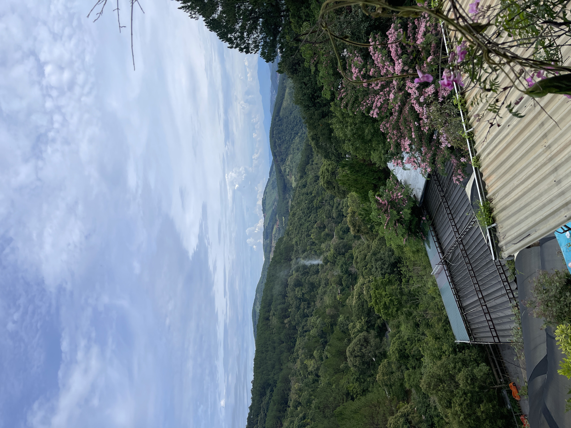 An outdoor shot of a landscape is angled showing a hillside covered with a dense forest of green trees with pink flowering vines hanging over the building to the right. The sky is cloudy in the upper left corner. The building is angled with a corrugated metal roof. Smoke is visible amidst the forest on the hillside. The location is Thôn 5, Vietnam.