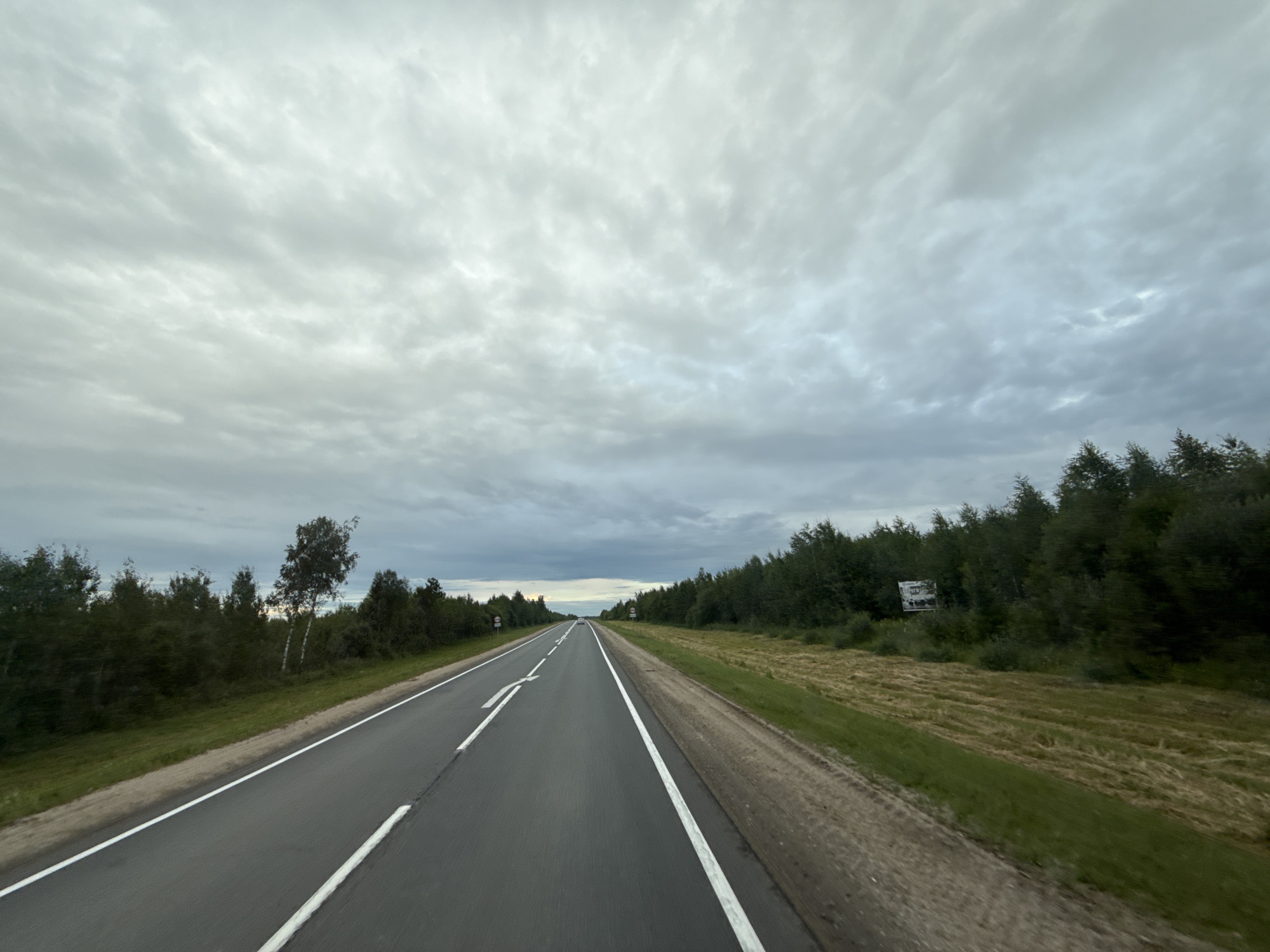 The image depicts a two-lane asphalt road with white dividing lines, receding into the distance. The road is bordered on the left by a grassy verge and dense green trees, with two distinct birch trees standing out amongst them. On the right side, the road is also flanked by a grassy verge and a field of cut hay, followed by a dense line of dark green trees. The sky above is overcast with a thick layer of grey clouds. In the far distance, a single white vehicle is visible on the road, and there are some roadside signs visible on both sides of the road. A square billboard is also present amongst the trees on the right side of the road. The scene appears to be a rural or semi-rural setting outside of a city. The provided location of Бабаново, Russia, suggests a regional road within this area.