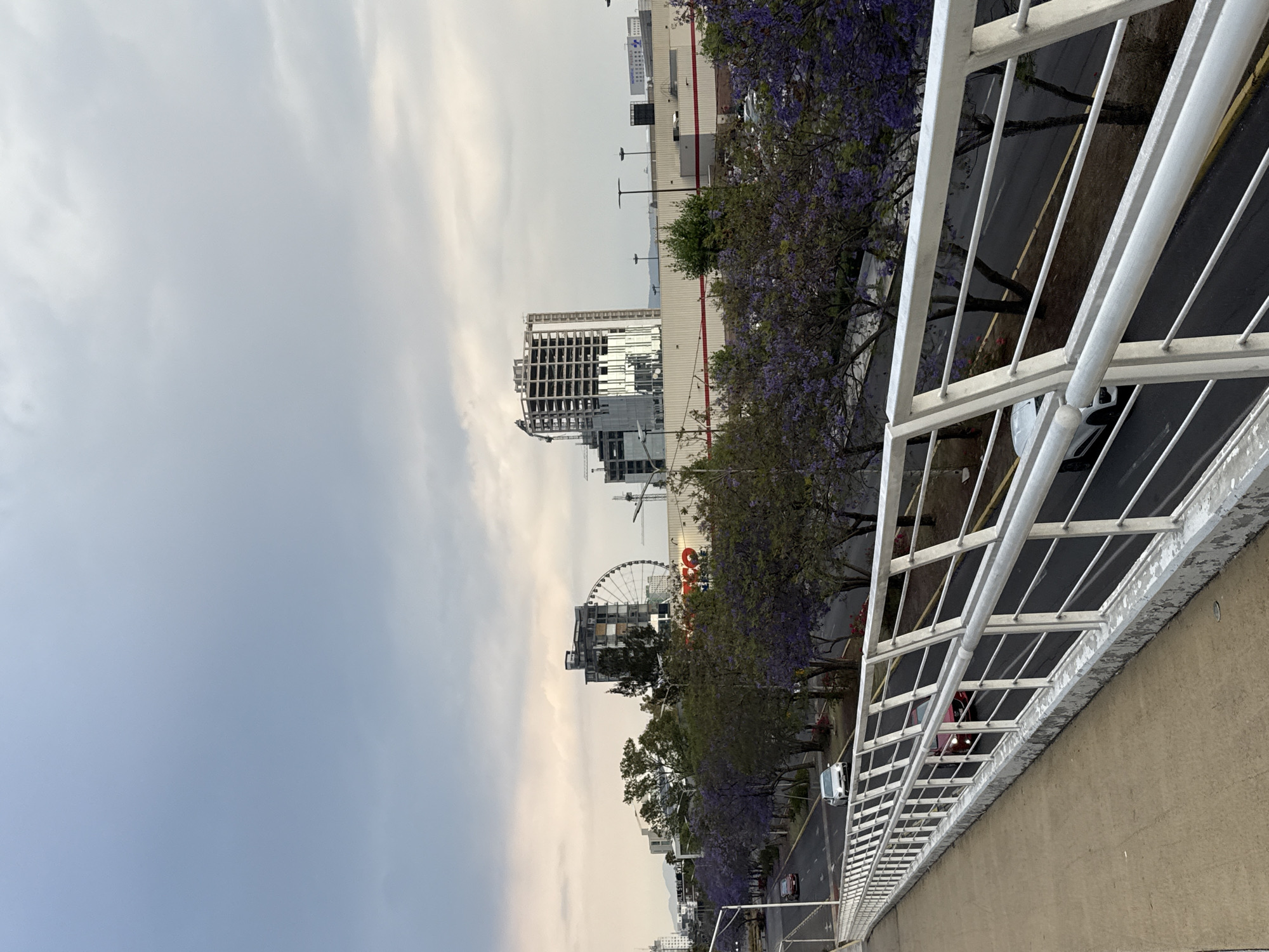 The image shows a view from an elevated vantage point, possibly a bridge or high building, overlooking a street in the city of Puebla, Mexico. The sky is overcast. A white metal railing is prominent in the foreground. The street below has trees with purple flowers on either side. There are several buildings in the distance, including one under construction with visible steel framework, and a large retail store. A Ferris wheel is visible in the mid-ground. Cars are present on the road. The image is taken at an angle.