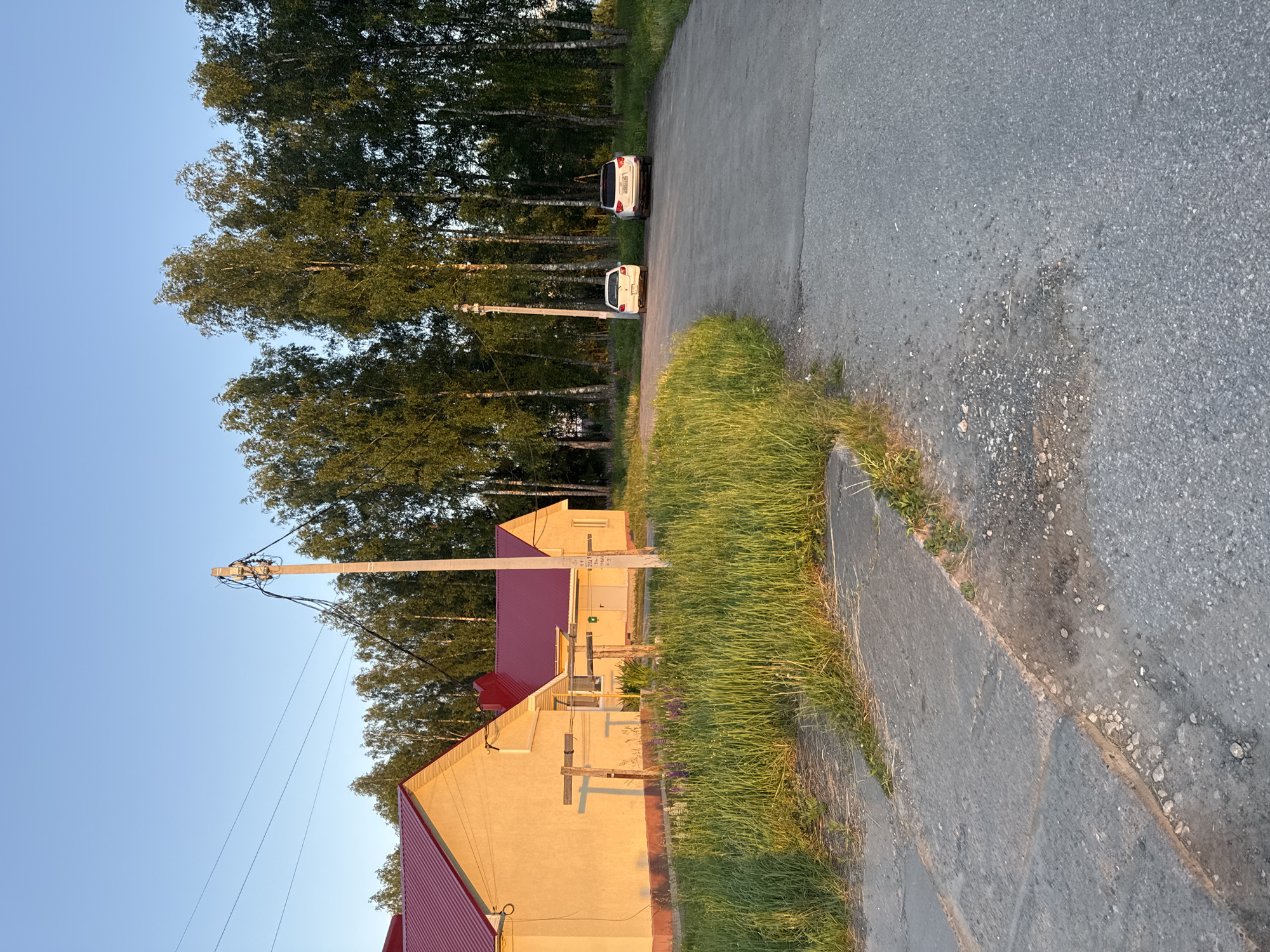 The image depicts a rural or suburban scene in Krasnye Baki, Russia, bathed in the warm light of late afternoon or early evening. A light yellow building with a red metal roof is prominently featured on the left side of the frame. In front of the building, tall green grass and some purple flowers grow. A concrete sidewalk or path runs along the edge of the grass, leading towards the building. Further into the scene, a paved road curves to the right. Two white cars are parked on the side of the road, facing away from the viewer. The background is dominated by a dense line of tall, slender birch trees with green foliage, characteristic of the Russian landscape. A concrete utility pole with electrical wires is situated on the right side of the road, near the foreground. The sky above is clear and a pale blue. The overall impression is one of a quiet, sun-drenched day in a sparsely populated area.
